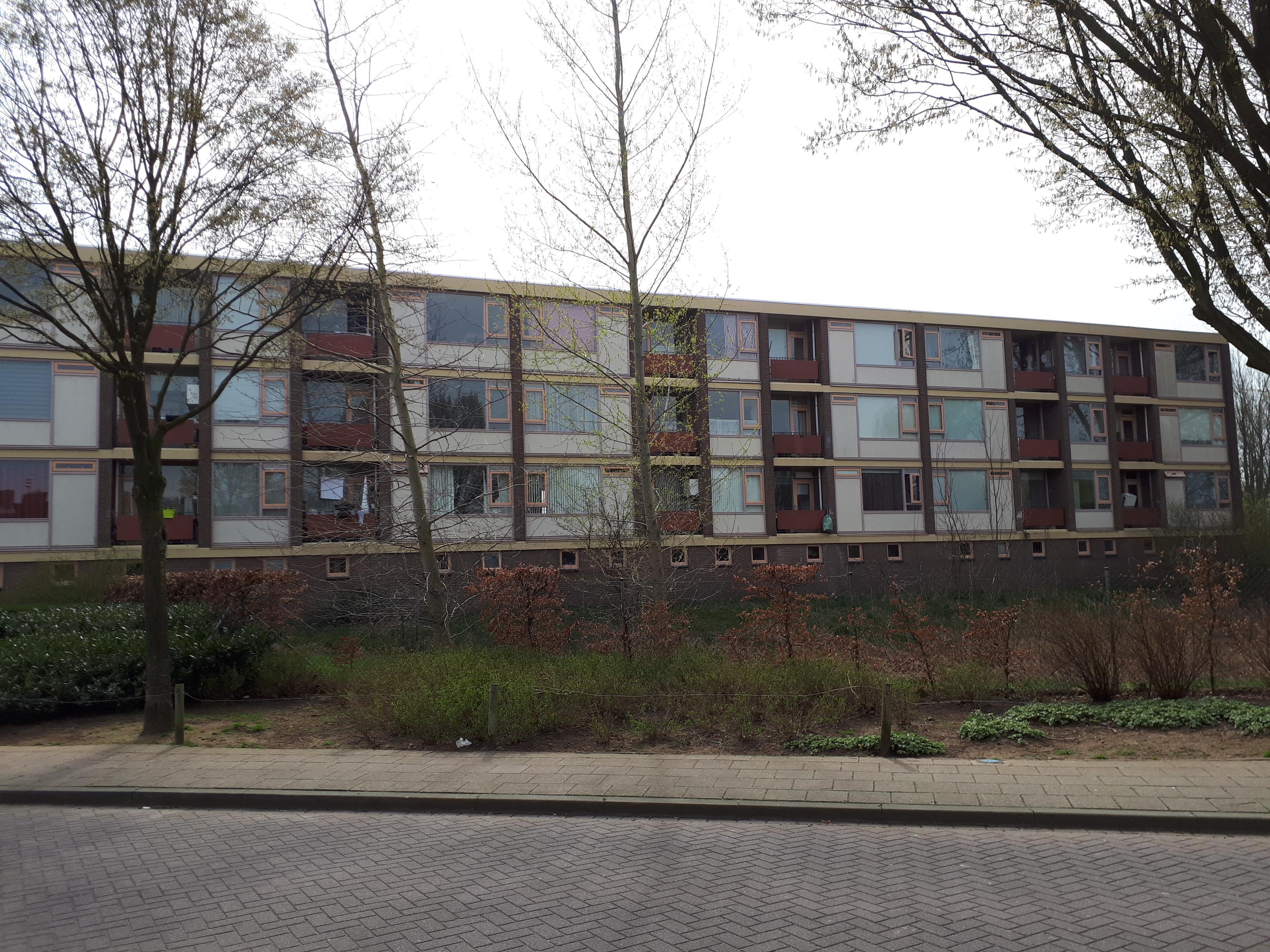 Goudenregenstraat 78