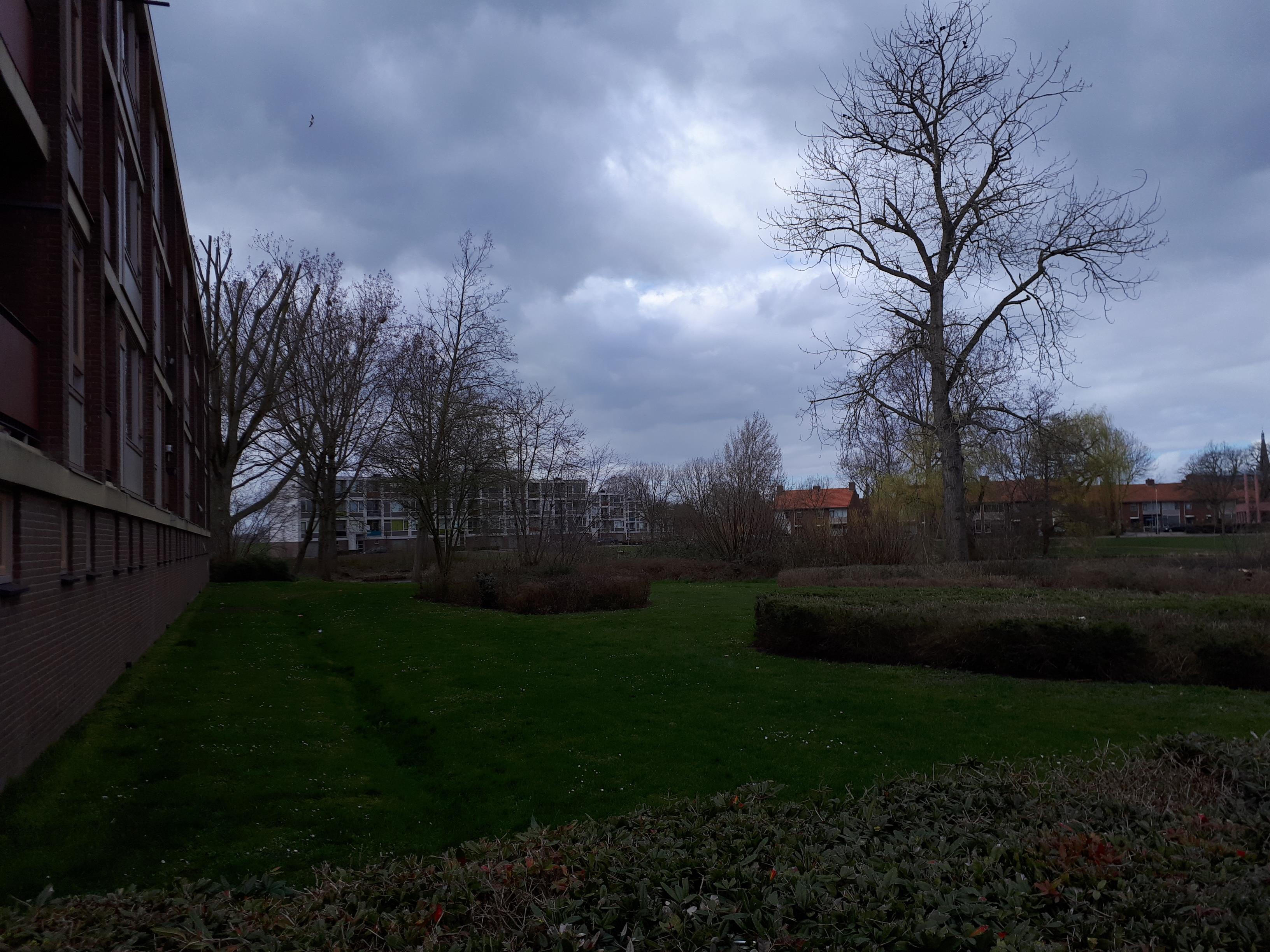 Goudenregenstraat 154