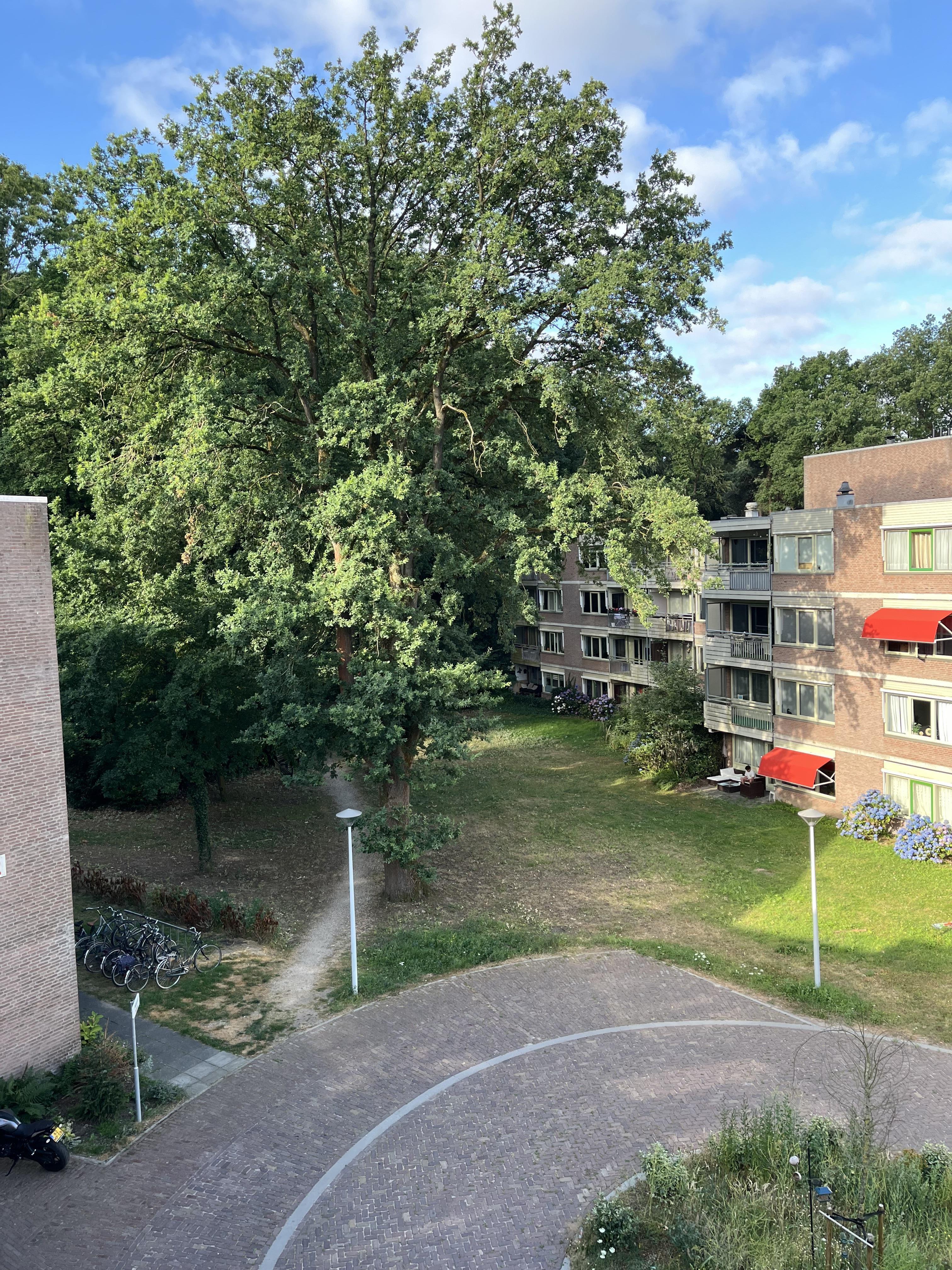 Kwakkenbergweg 402