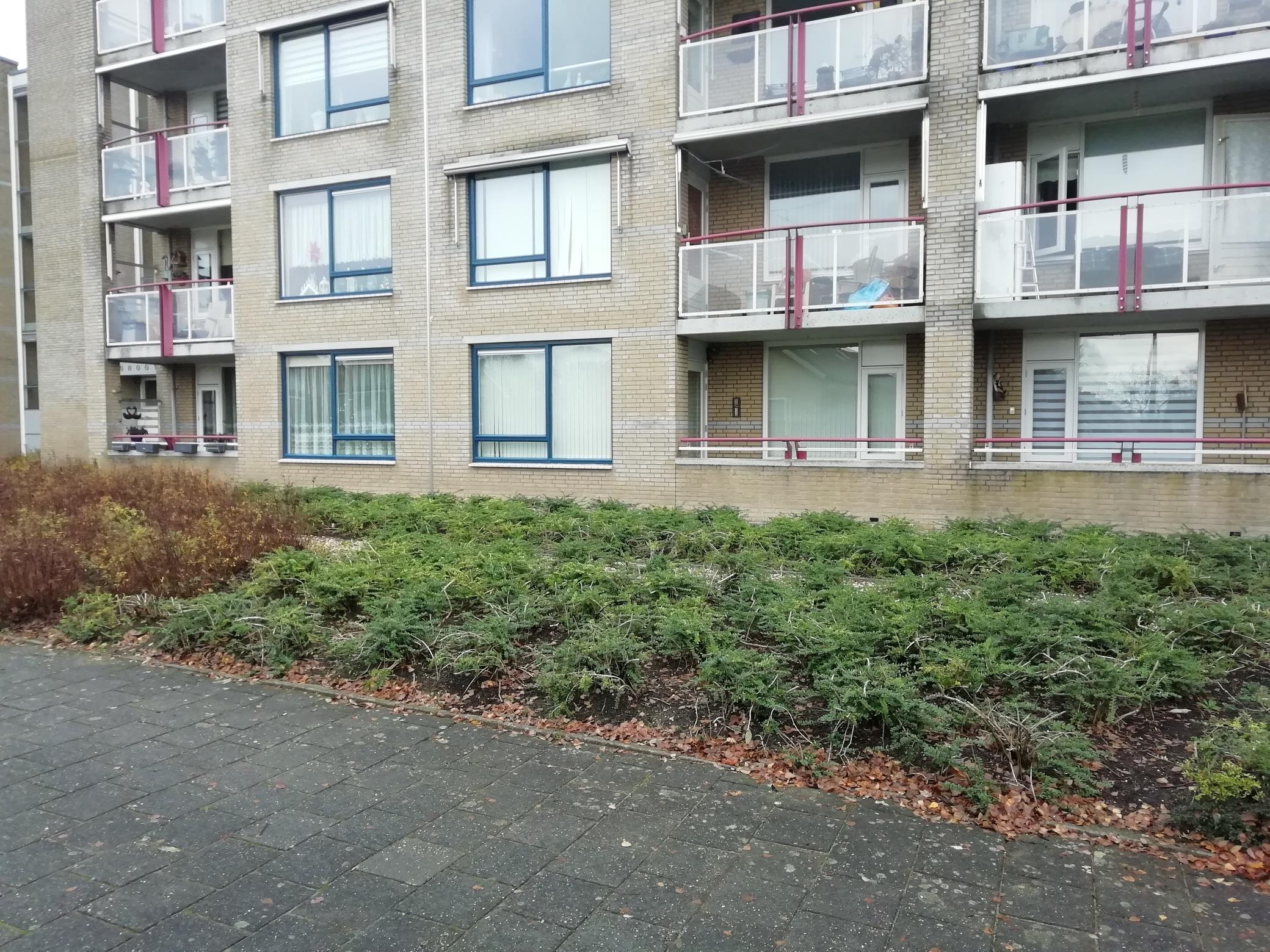 Van Het Hoffplantsoen 3, 6533 MX Nijmegen, Nederland