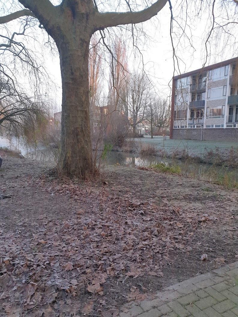 Van der Goesstraat 100