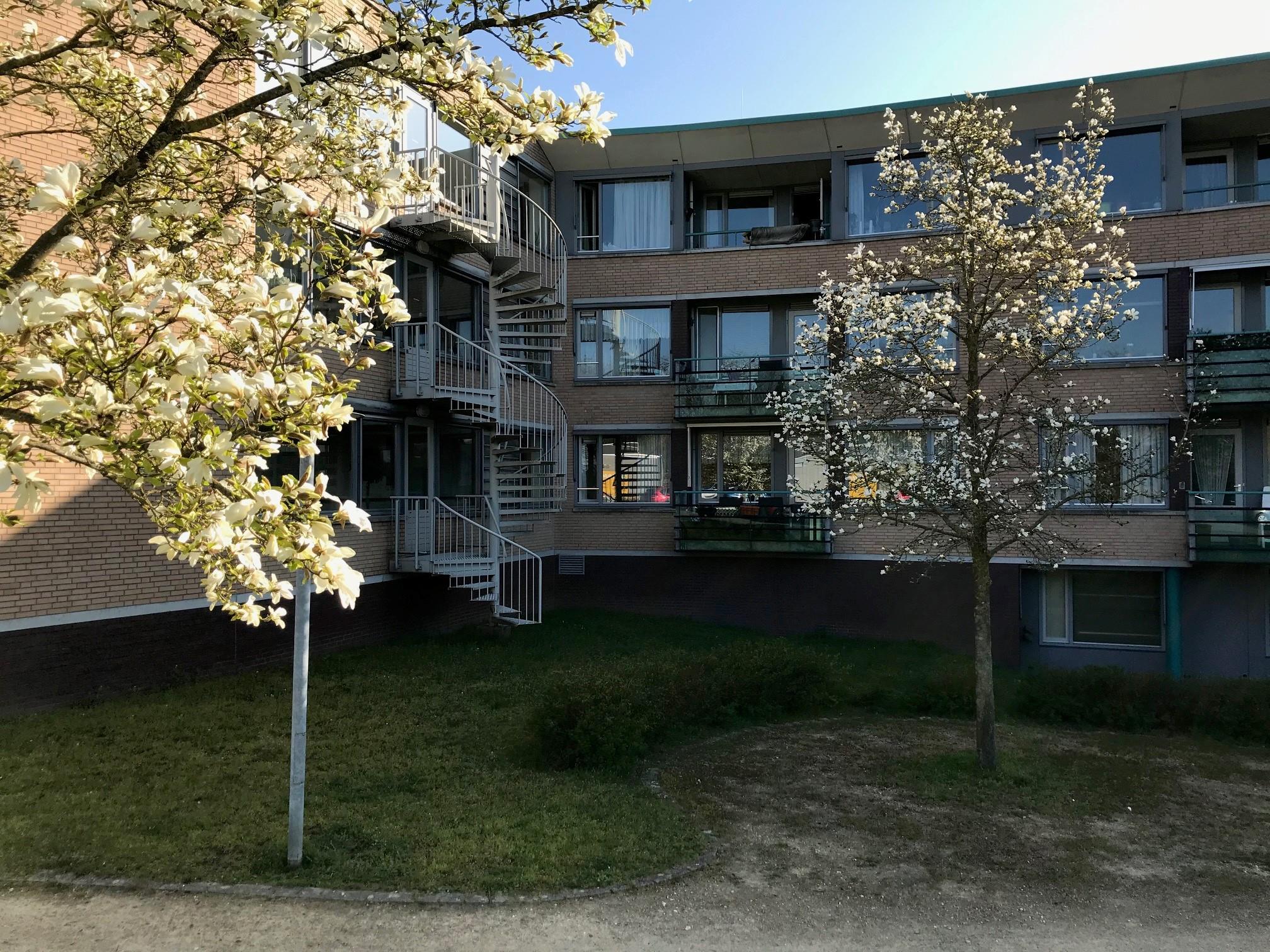 De Meent 10