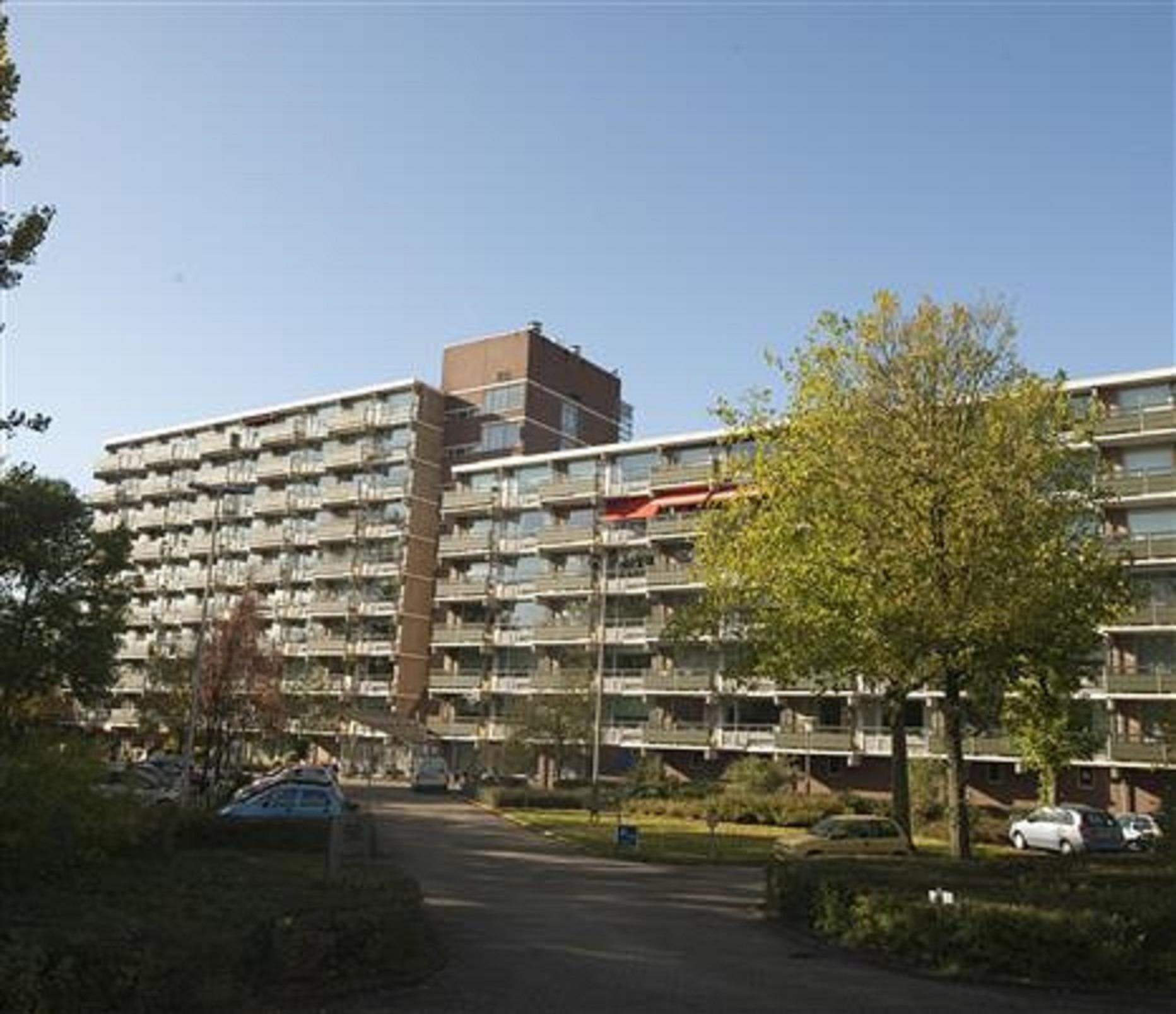 Gorinchemstraat 50604, 6843 KS Arnhem, Nederland