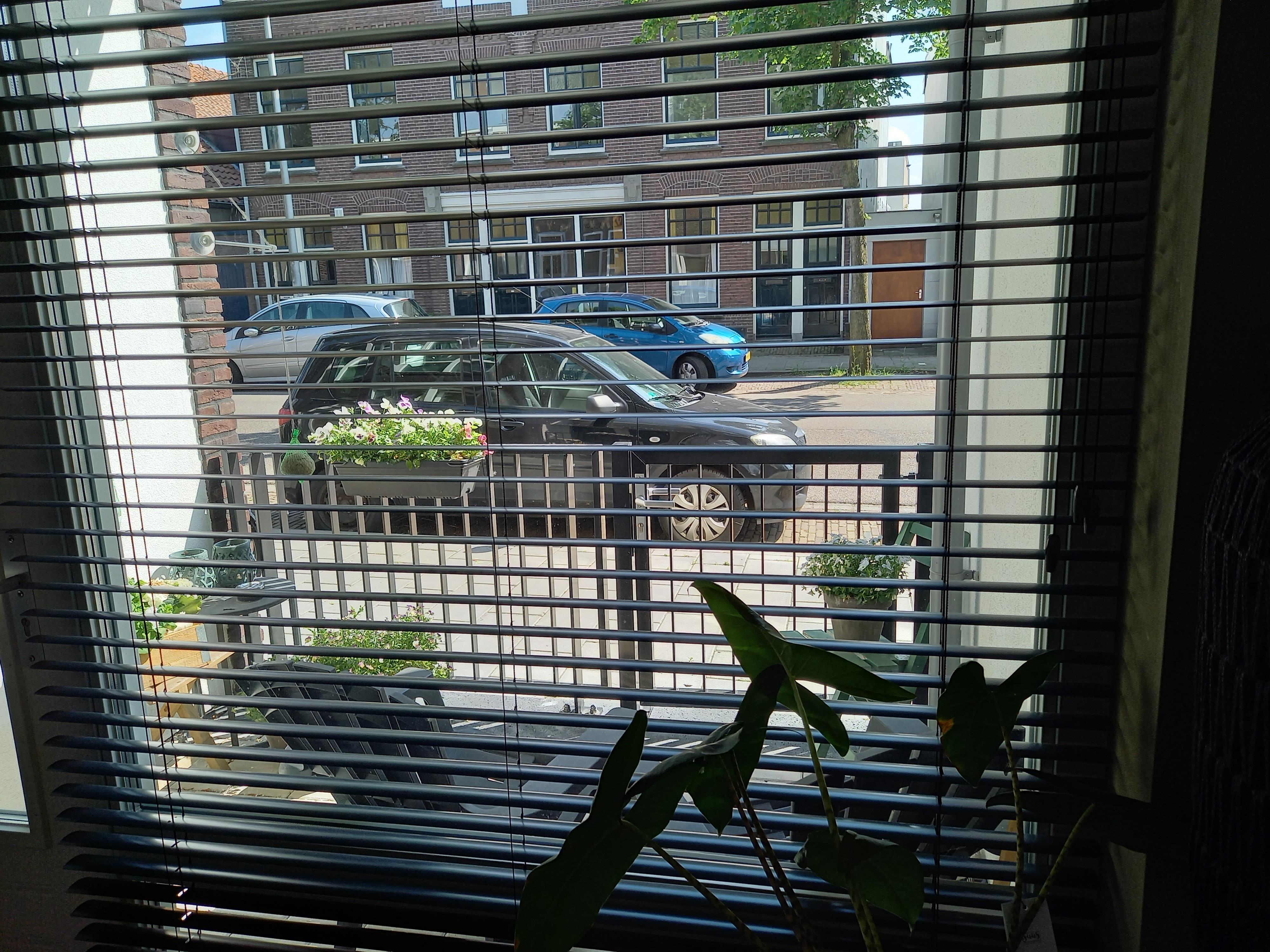 Dommer van Poldersveldtweg 