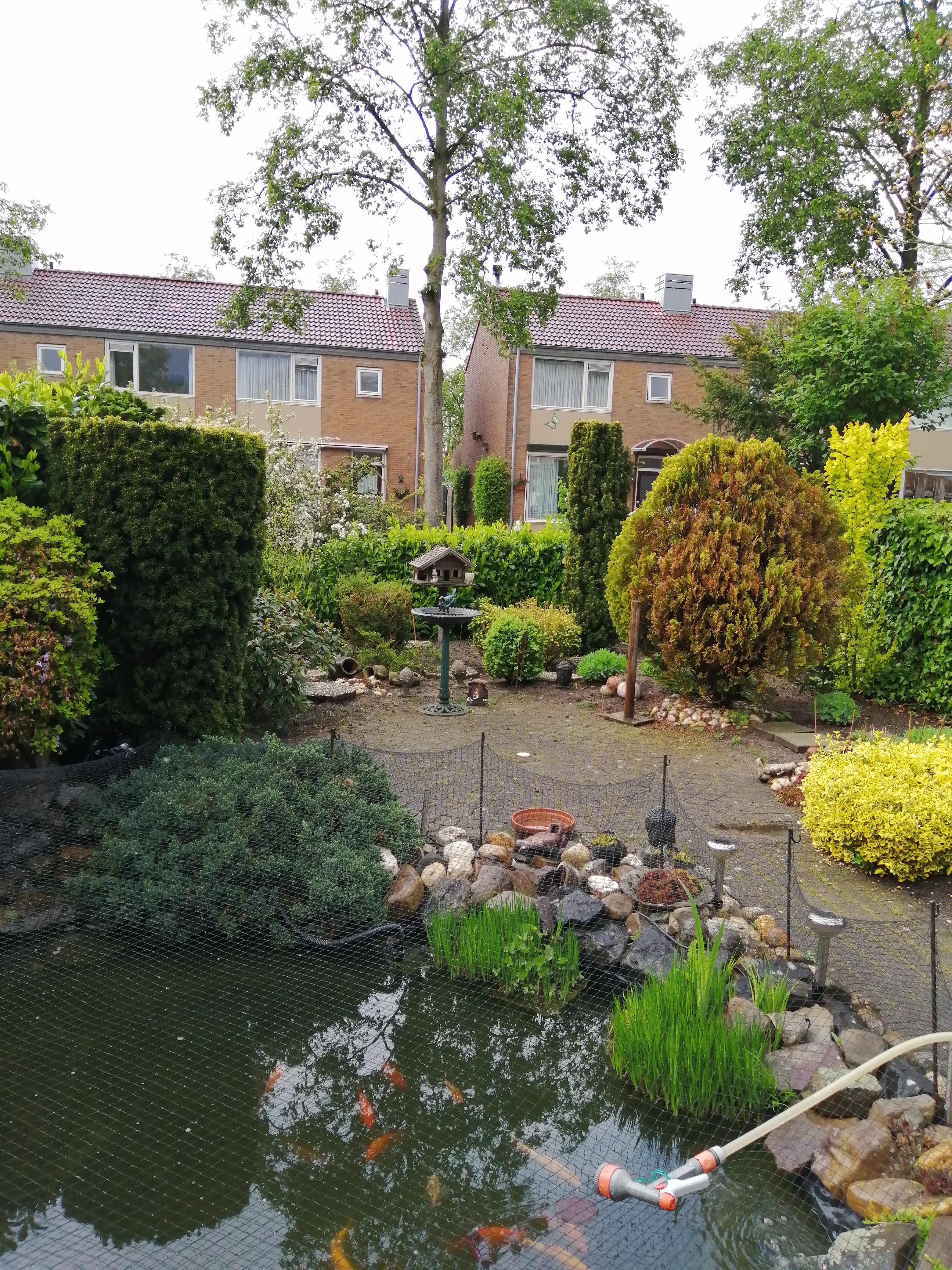 Avondroodvlinderstraat 6