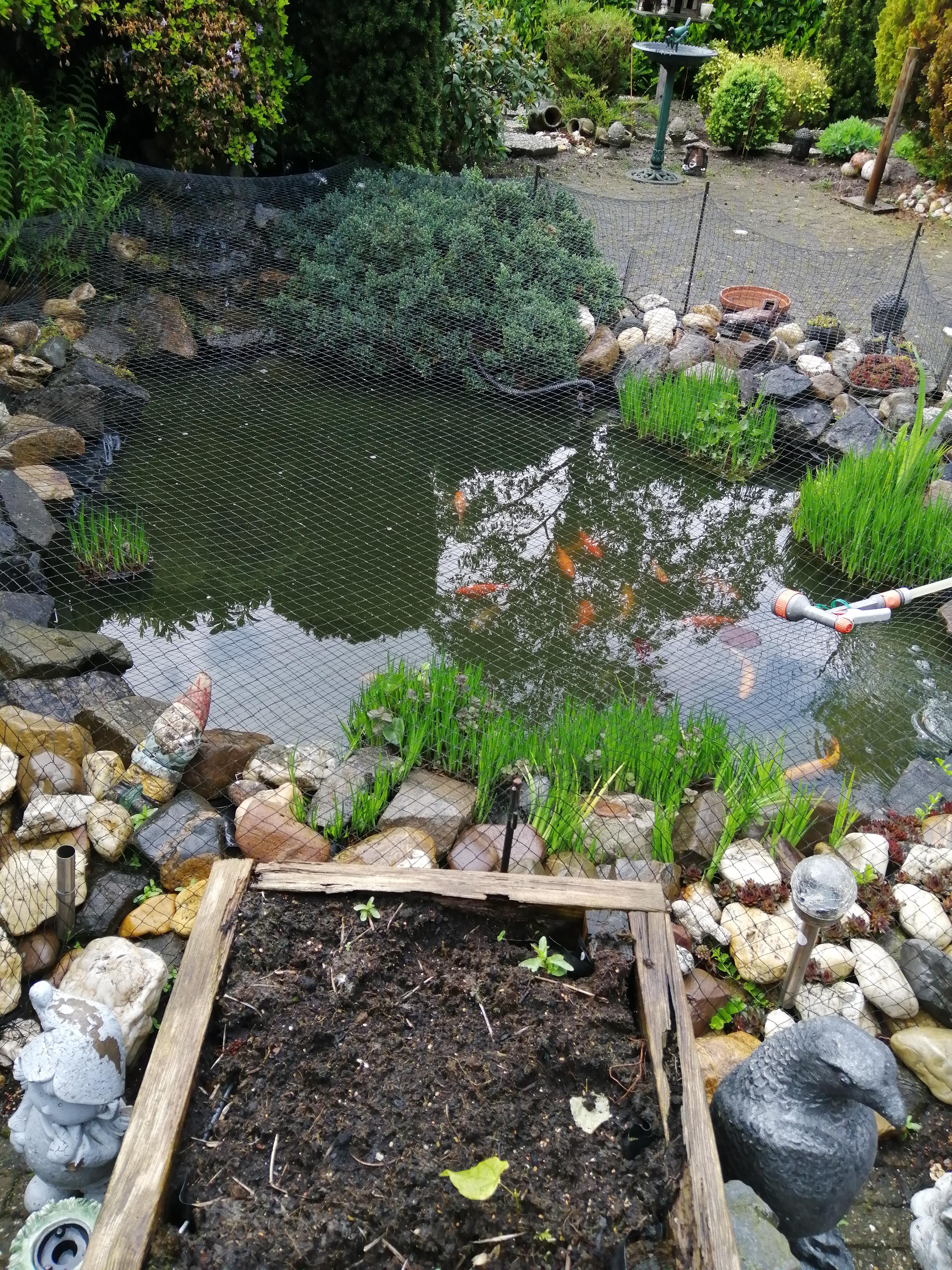 Avondroodvlinderstraat 6