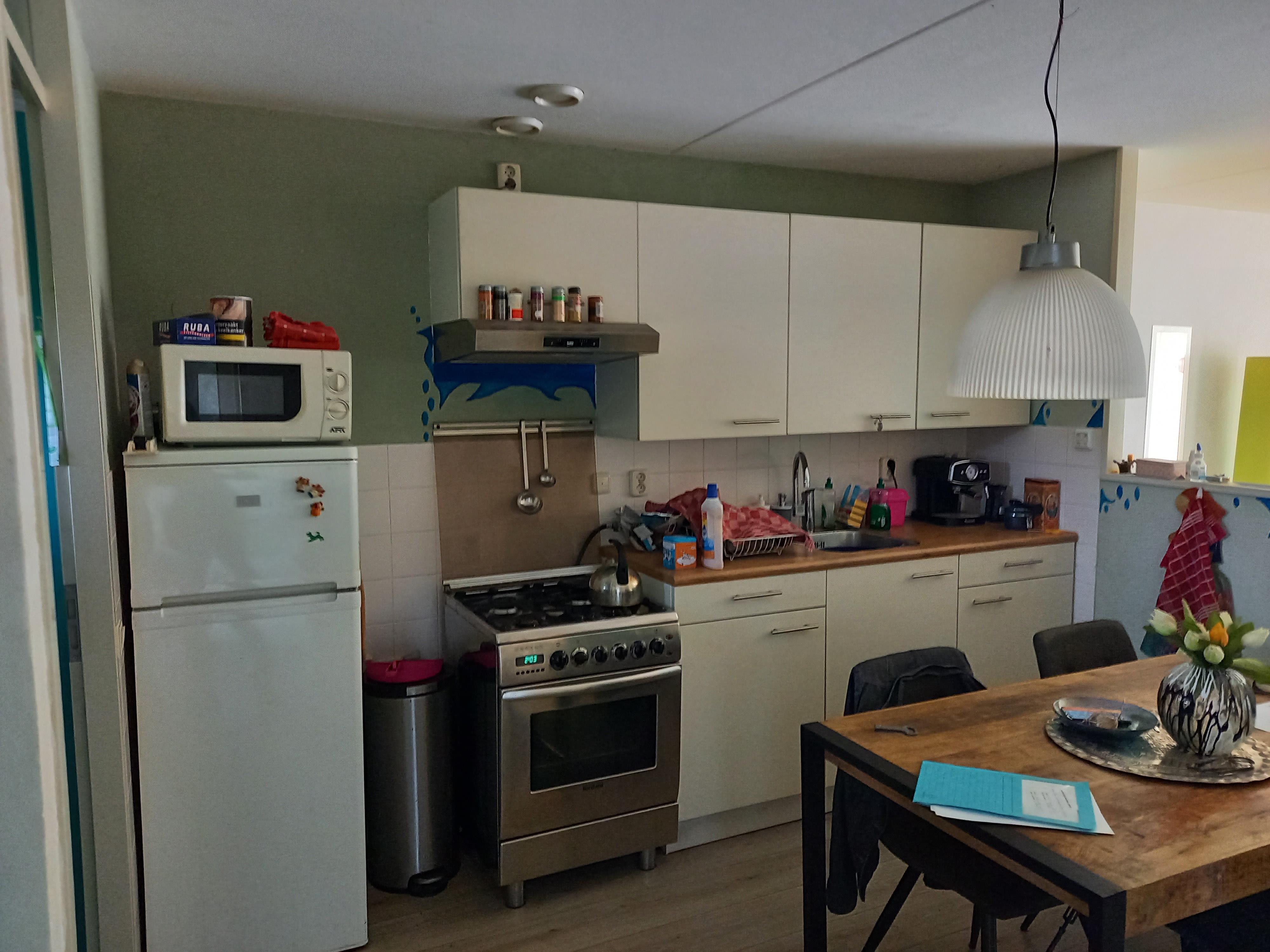 Van 't Sant-straat 203