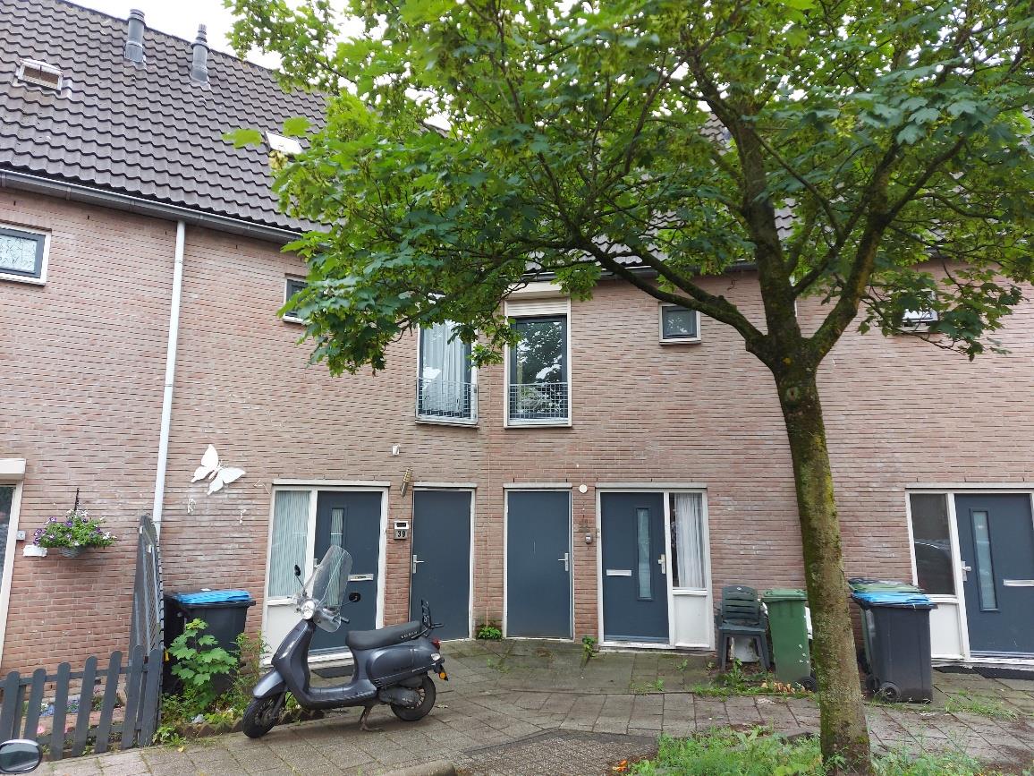 Schepen Monetariusstraat 41