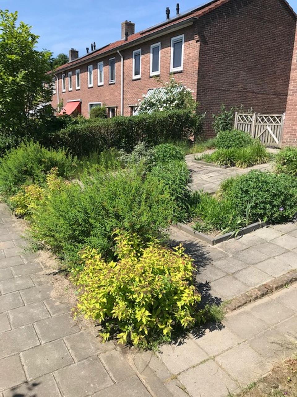 Spechtstraat 32, 6823 CK Arnhem, Nederland