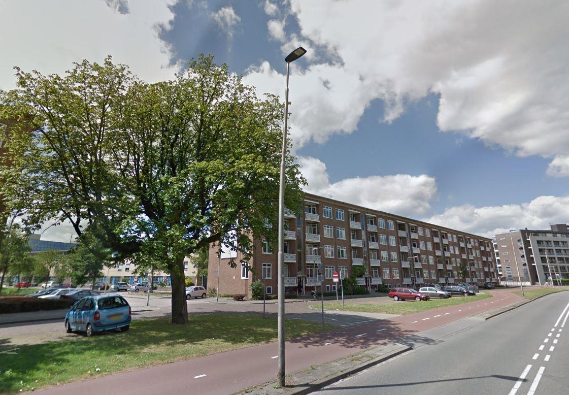 Johan de Wittlaan 274-3