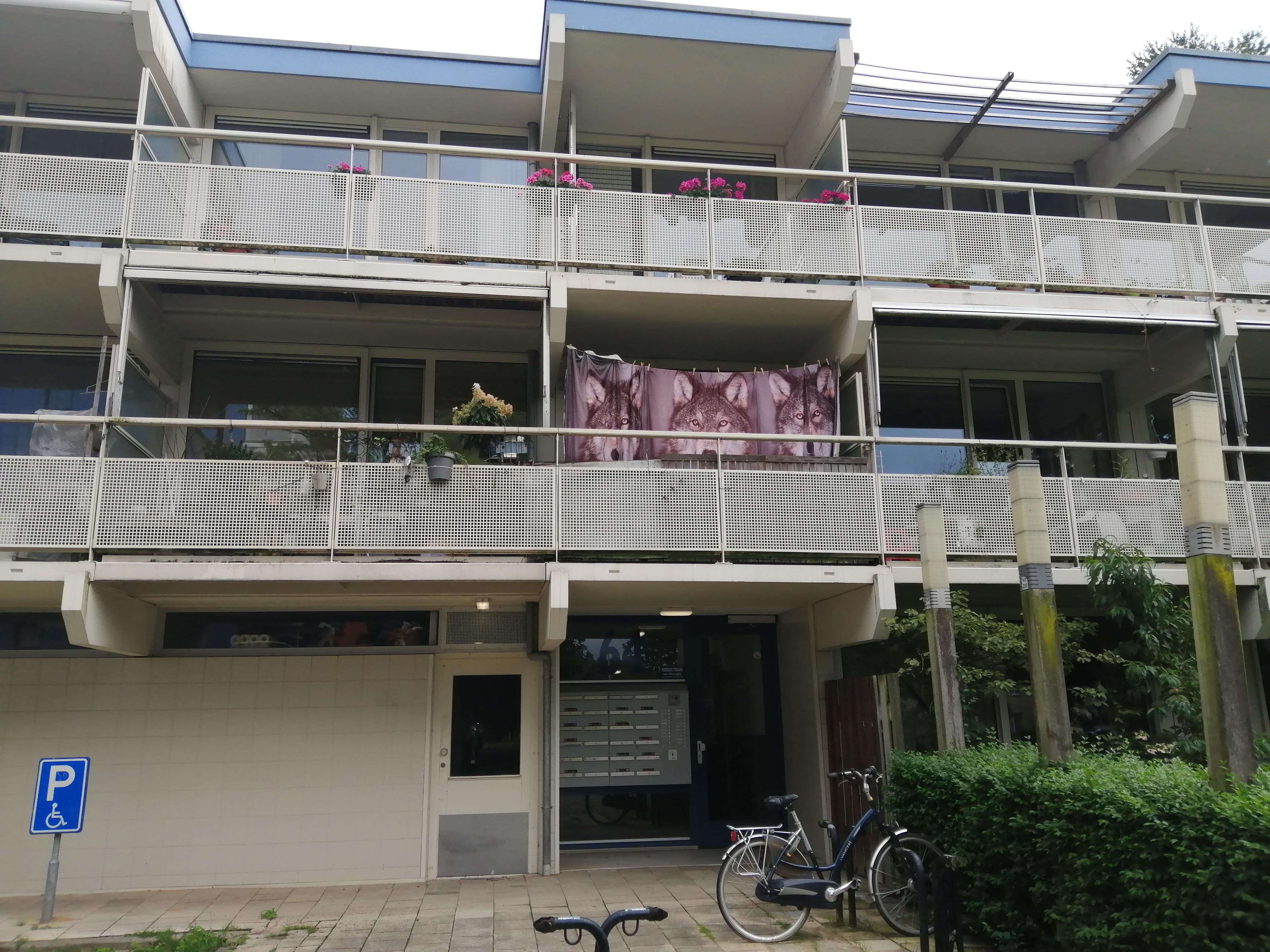 Tolhuis 6442, 6537 ST Nijmegen, Nederland