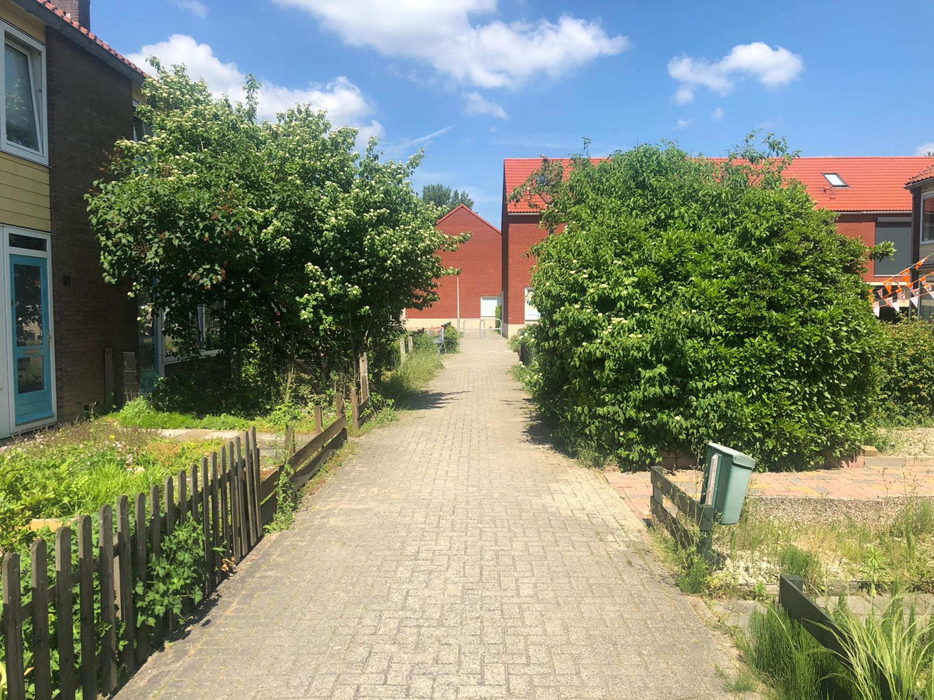 Van Nesstraat 41