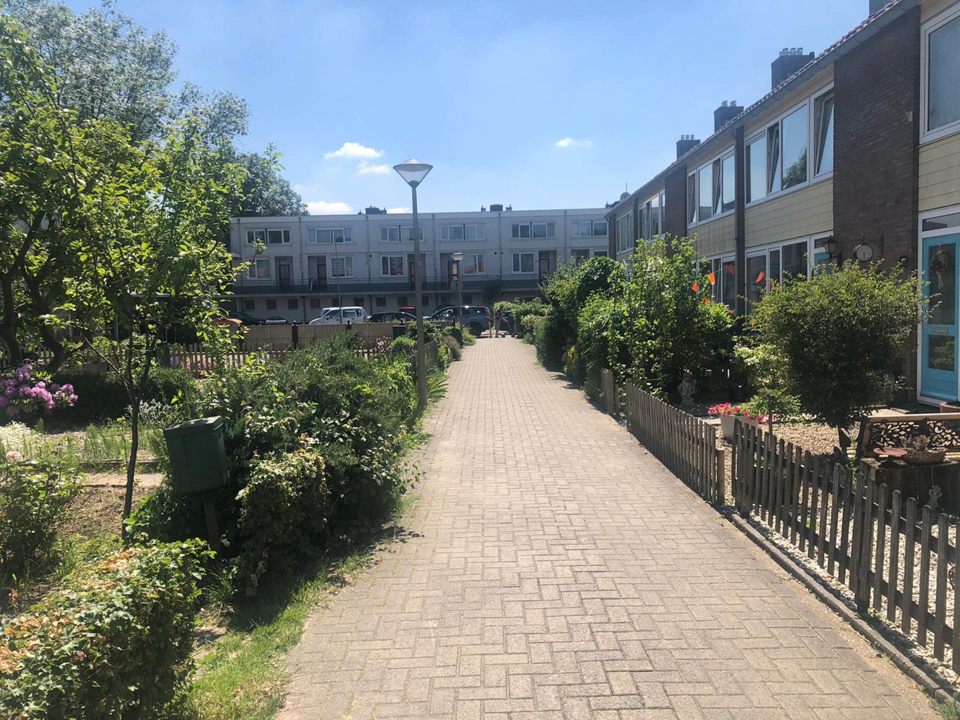 Van Nesstraat 41