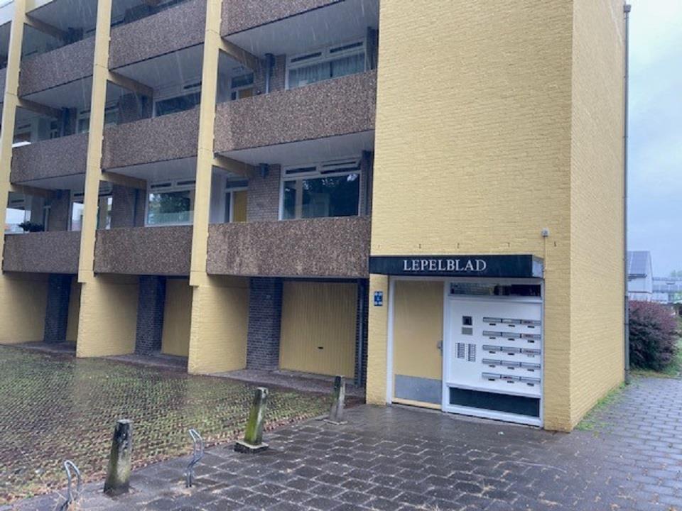 Meijhorst 3222, 6537 HX Nijmegen, Nederland