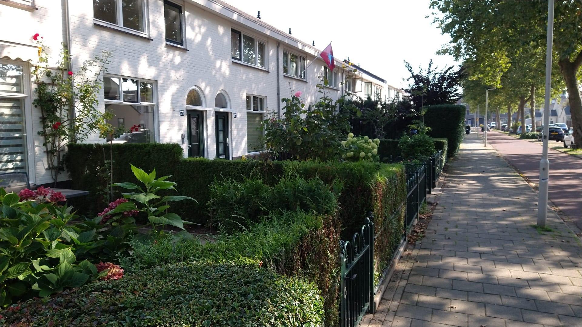 Stadhoudersstraat 175