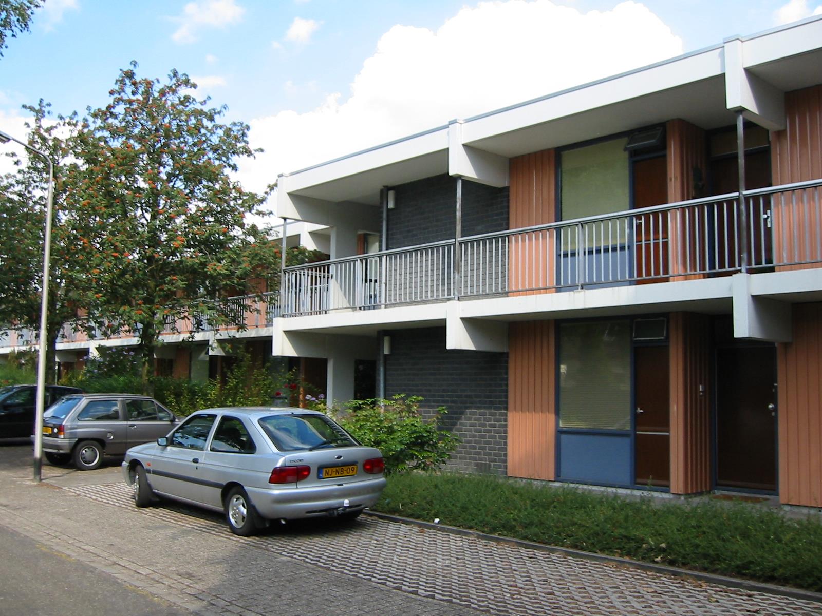 Knollenpad 50