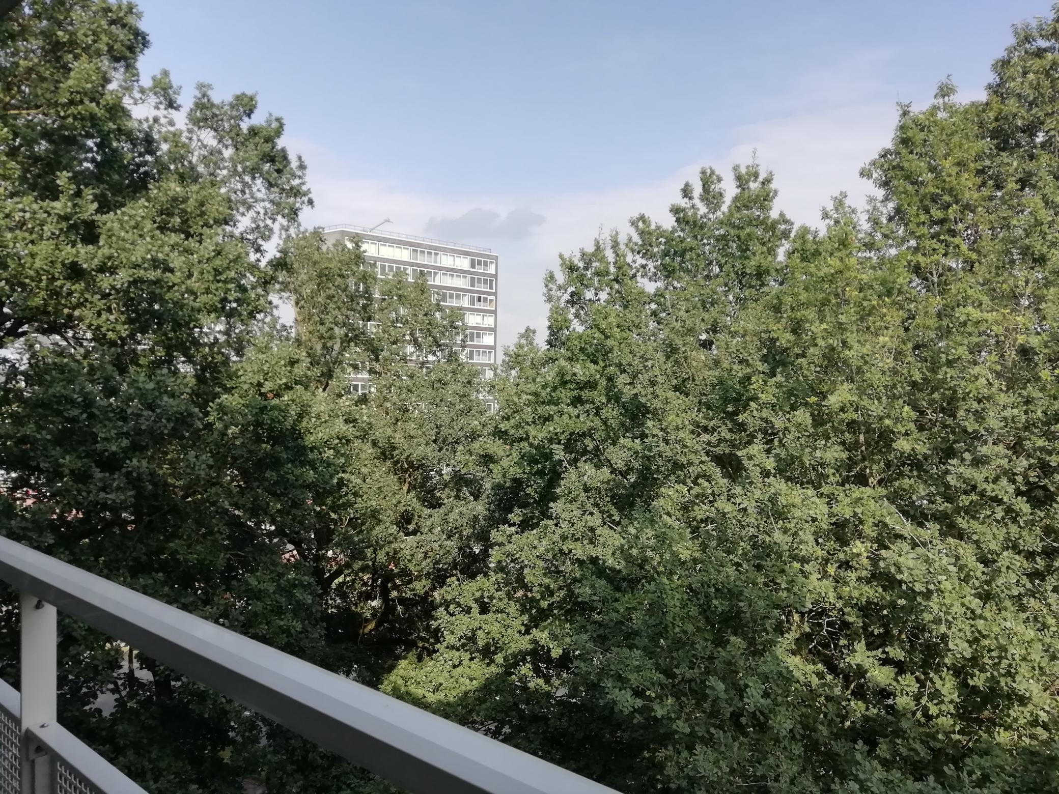 Tolhuis 6361, 6537 SW Nijmegen, Nederland