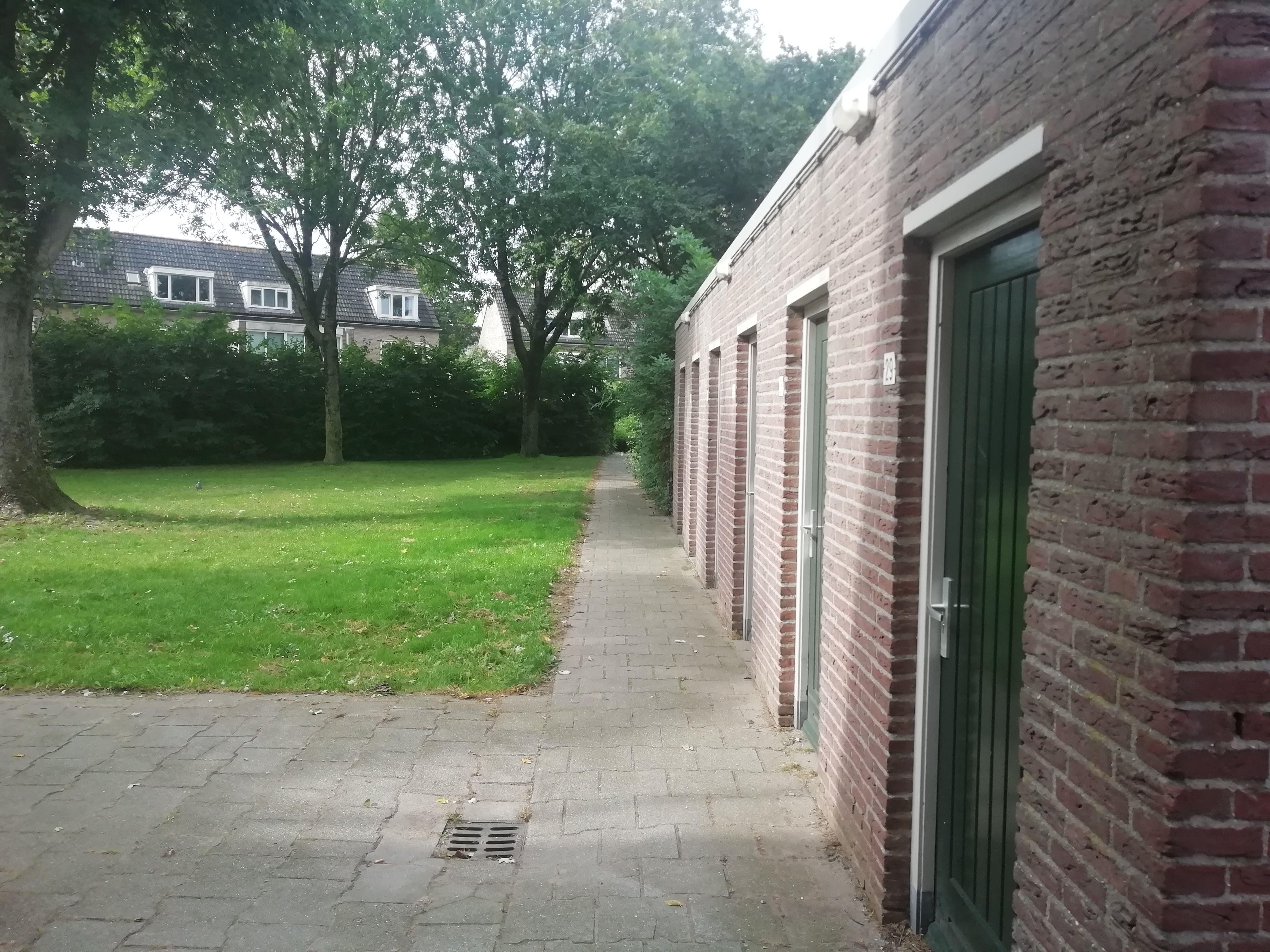 Ridderspoor 29