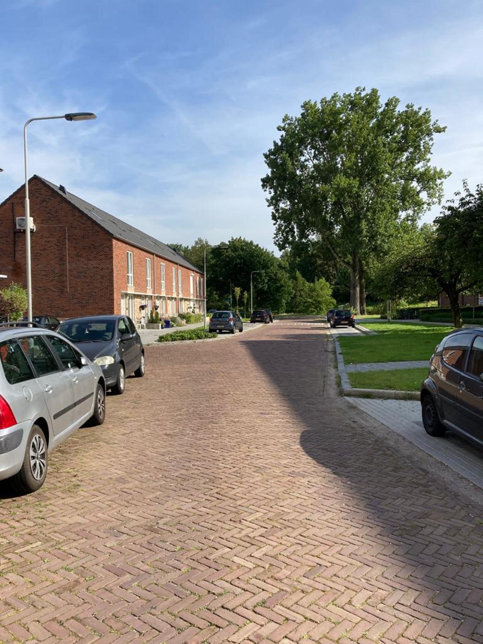 De Bosch Kemperstraat 5