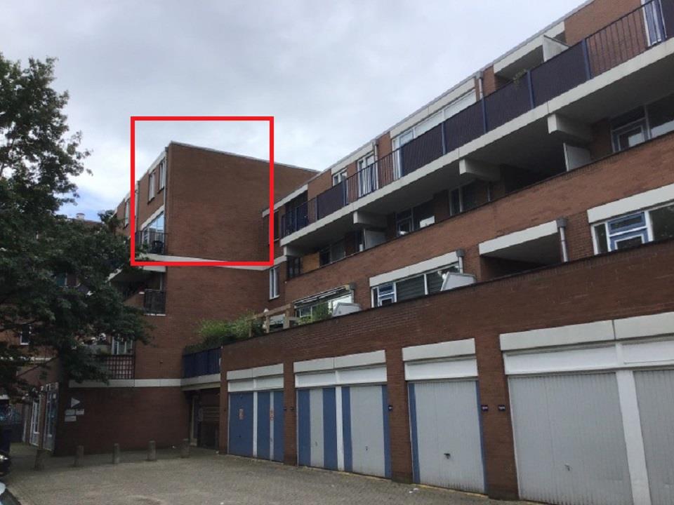 de Voorstenkamp 1955