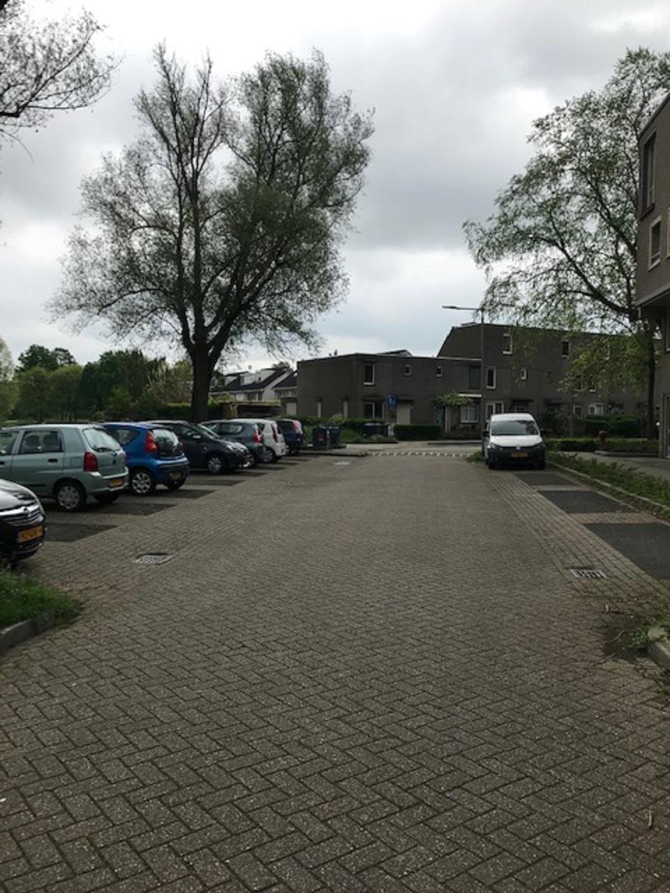 Baakhovenstraat 81