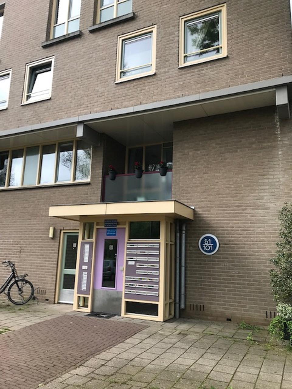 Baakhovenstraat 81