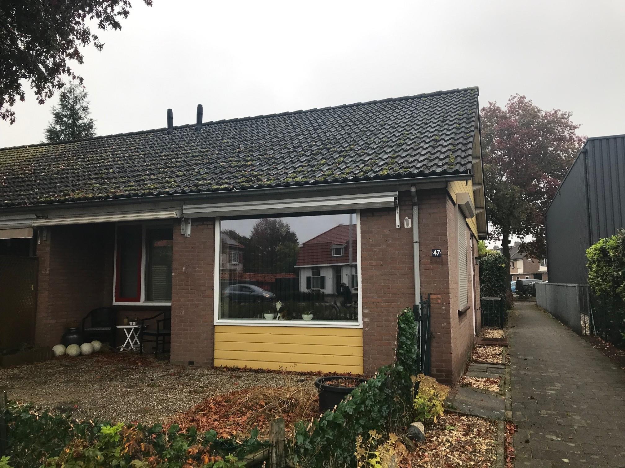 Tulpstraat 47