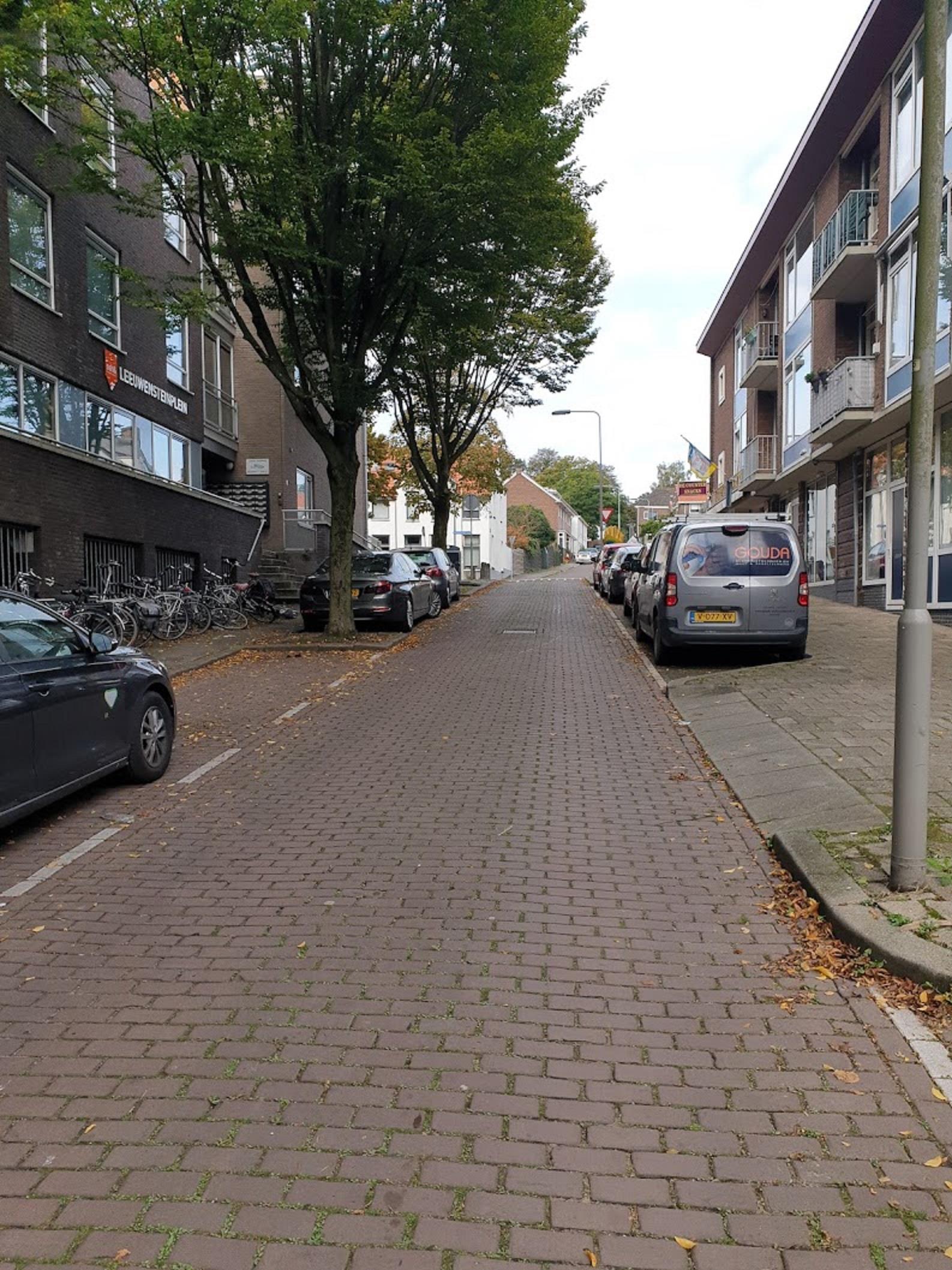 Leeuwensteinplein 33