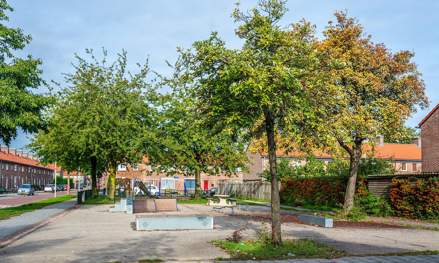 Dragonstraat 42