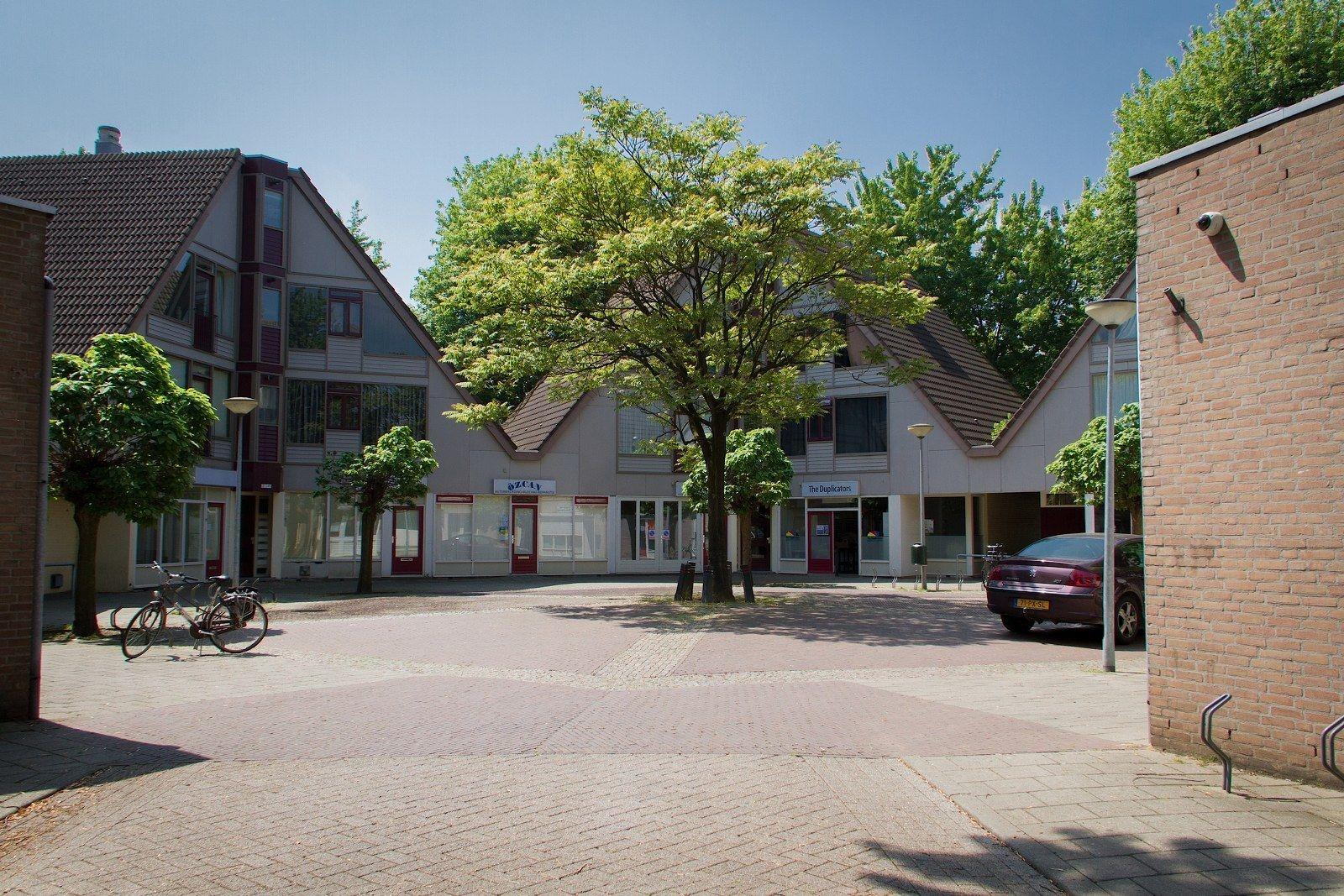 Koolzaadveld 7