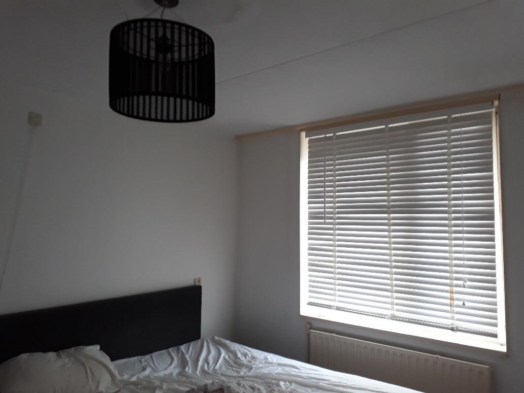 Ingenieur J.P. van Muijlwijkstraat 89