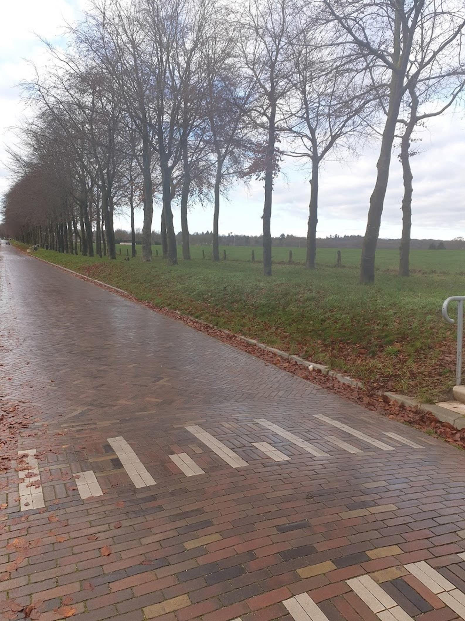 Beukenlaan 202