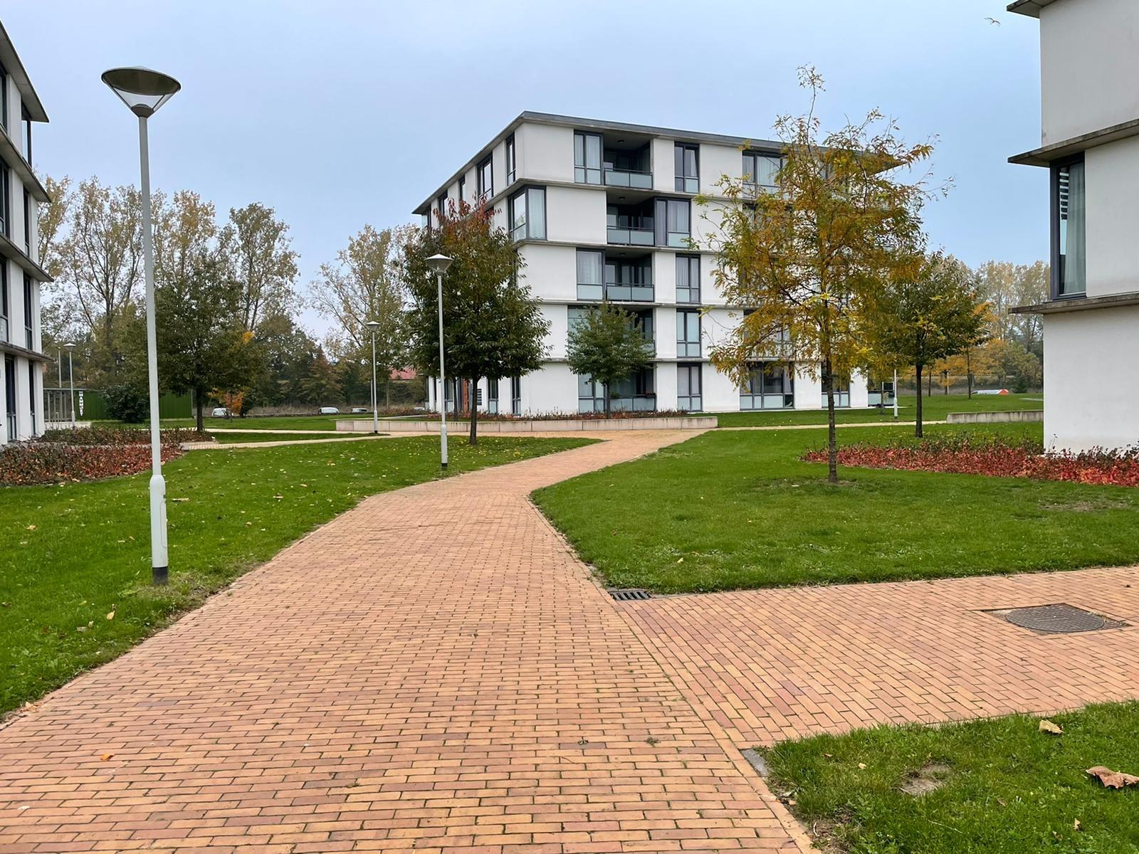 Scheldestraat 29