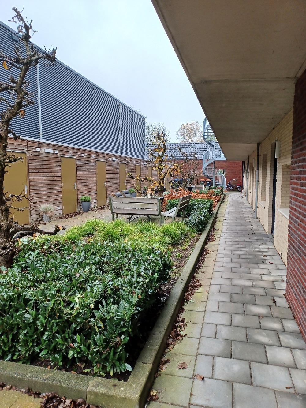 Ringelenbergstraat 31