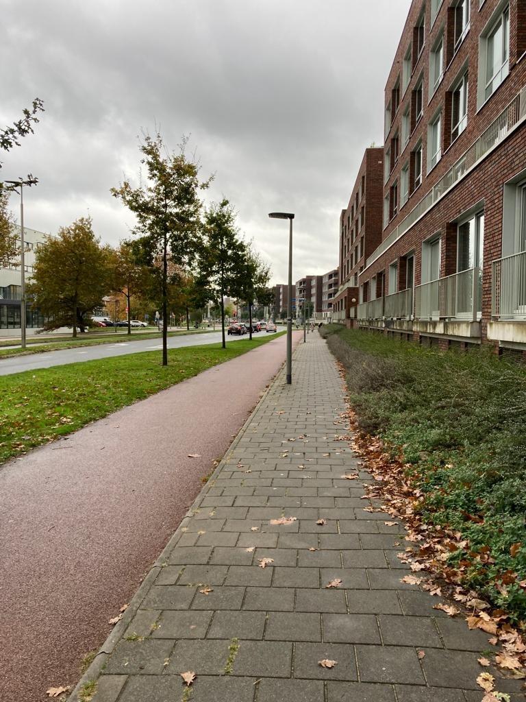 Laan van Presikhaaf 54-4