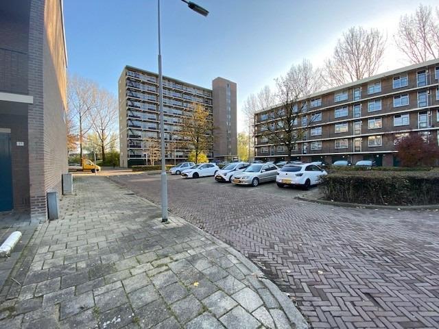 Dedelstraat 23