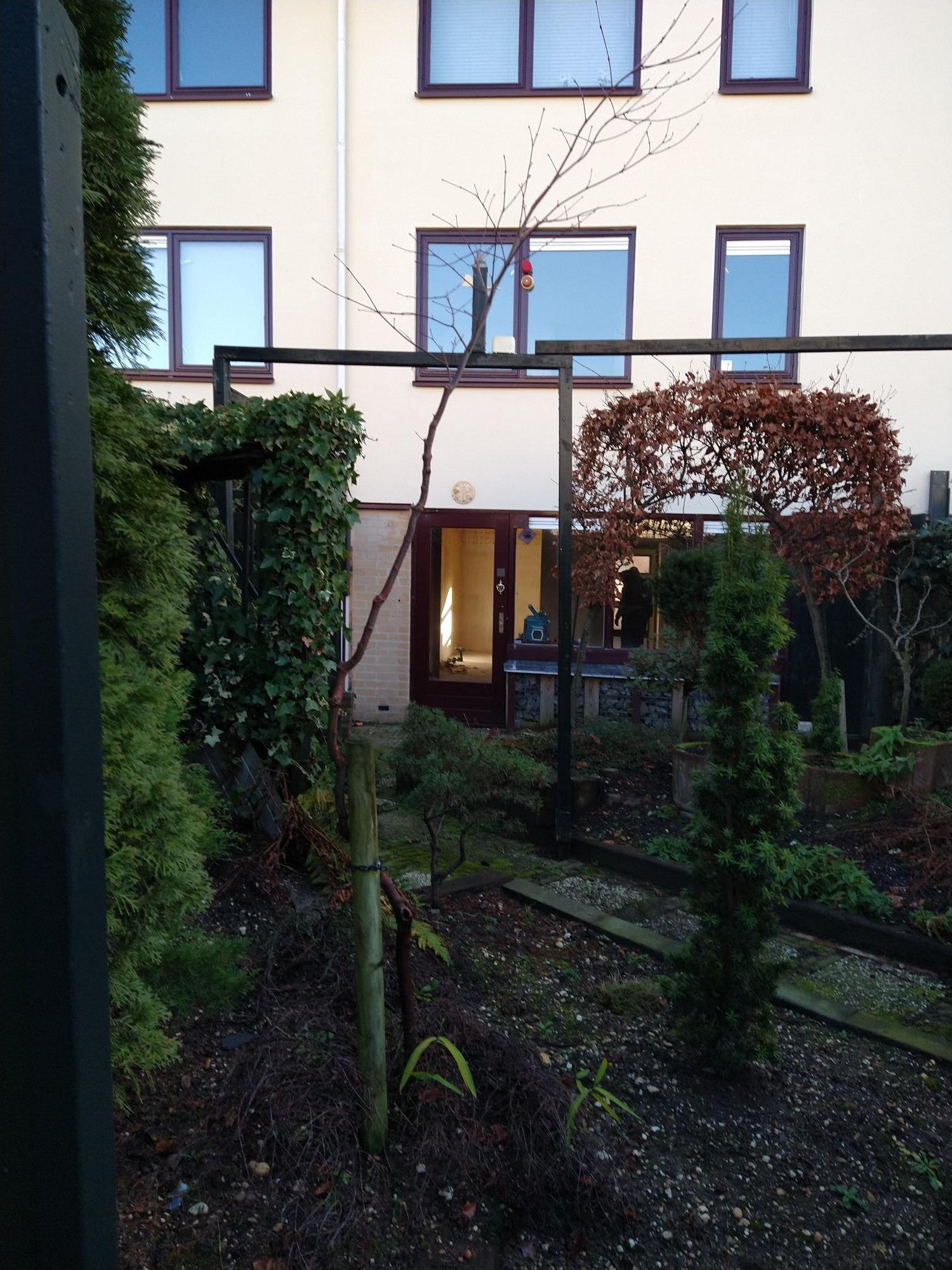 Cornelia Weertsemastraat 9