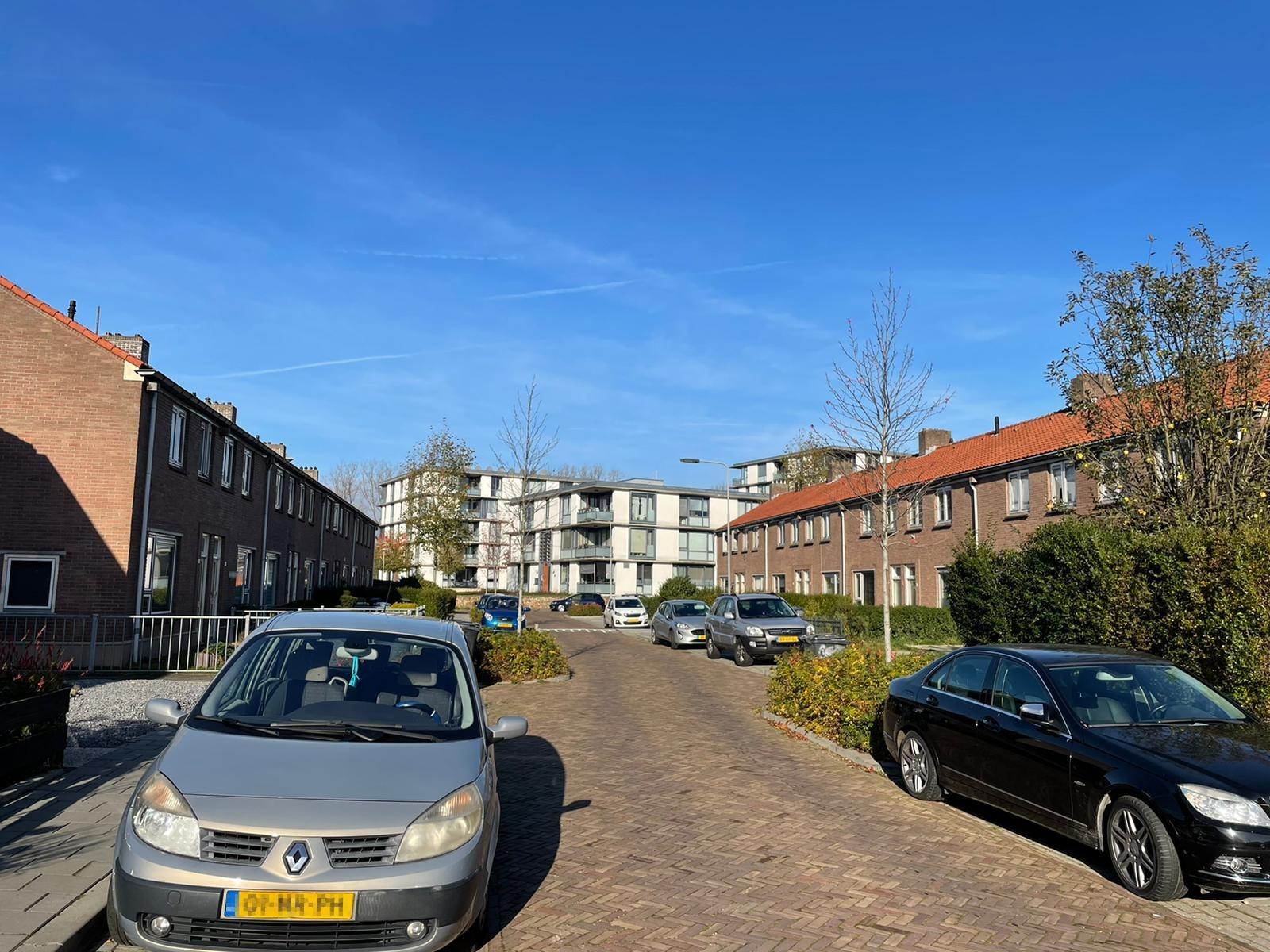 Lingestraat 24