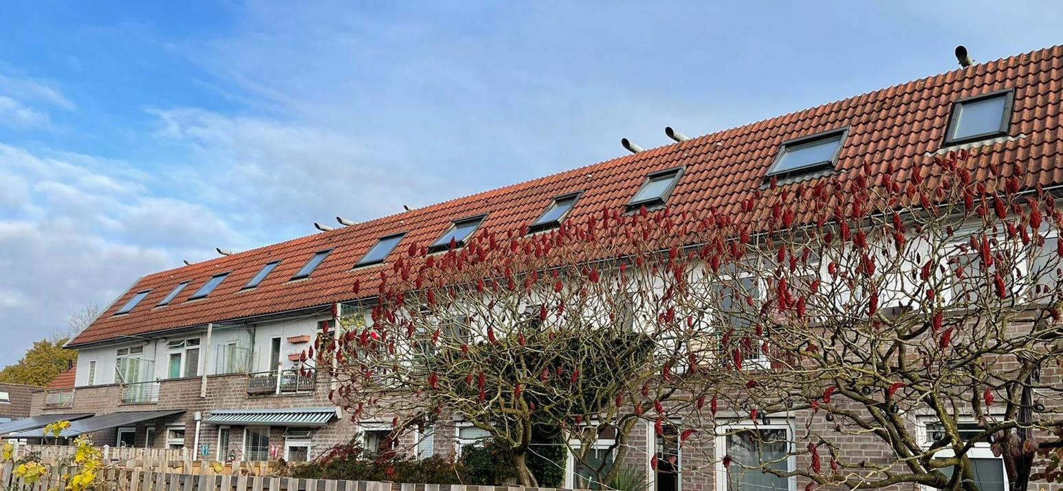 Sint Oedenrodestraat 41