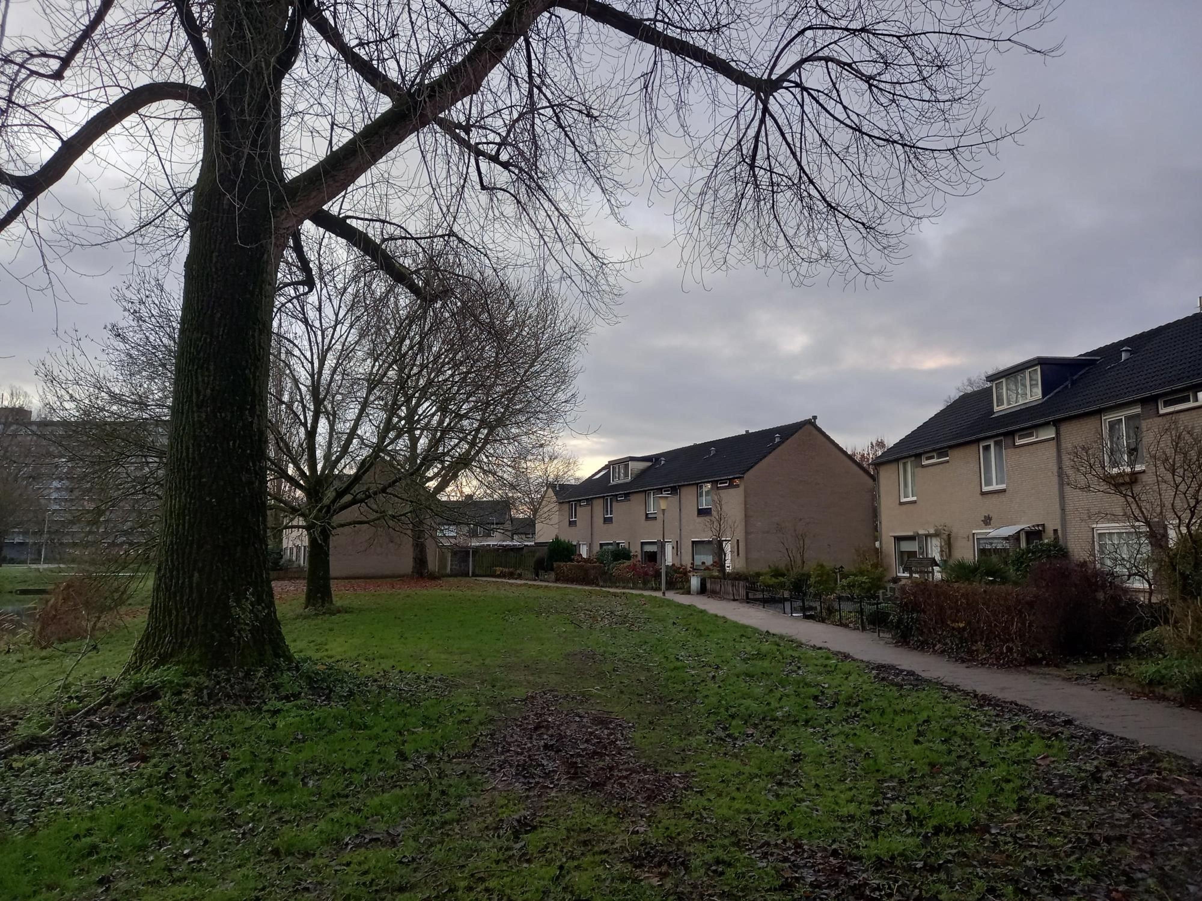 Bodegravenplantsoen 6