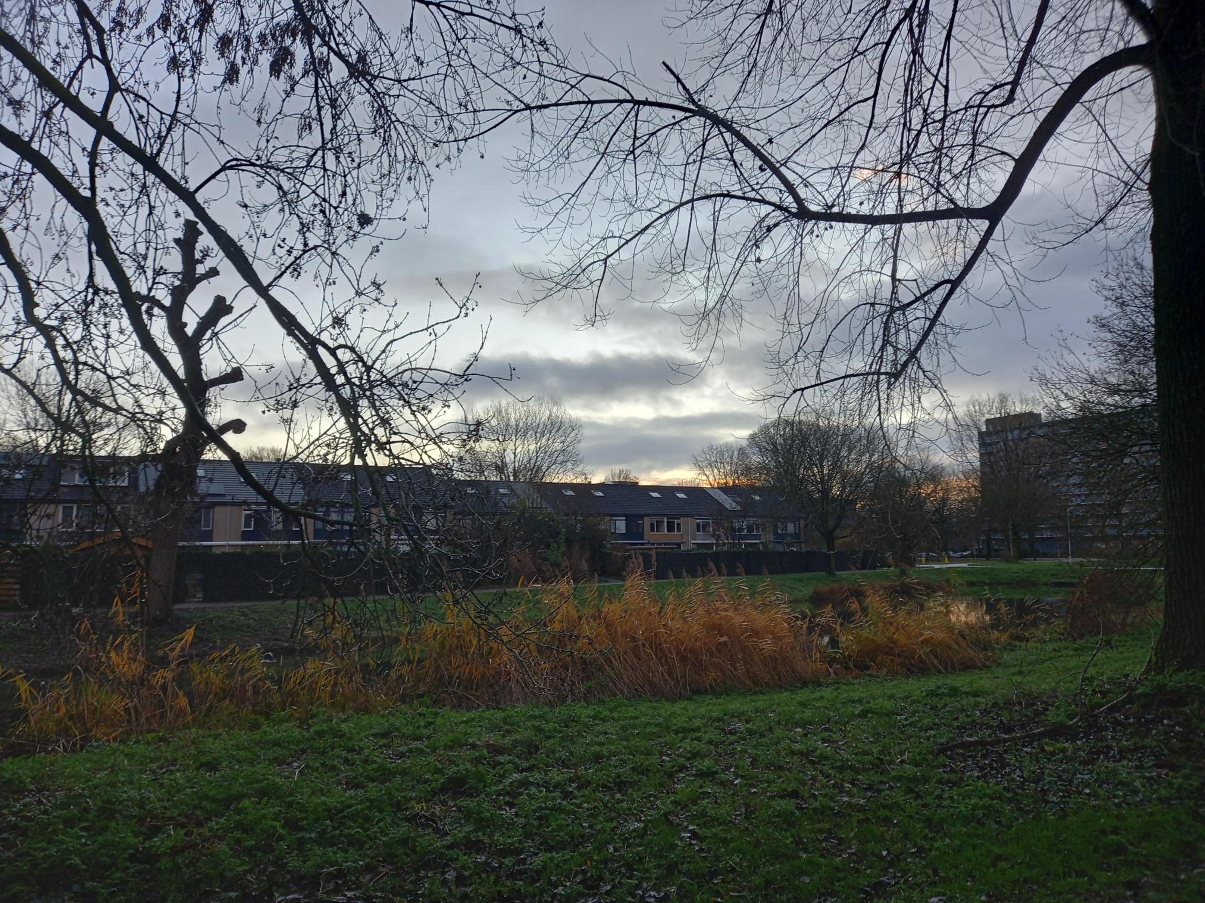 Bodegravenplantsoen 6