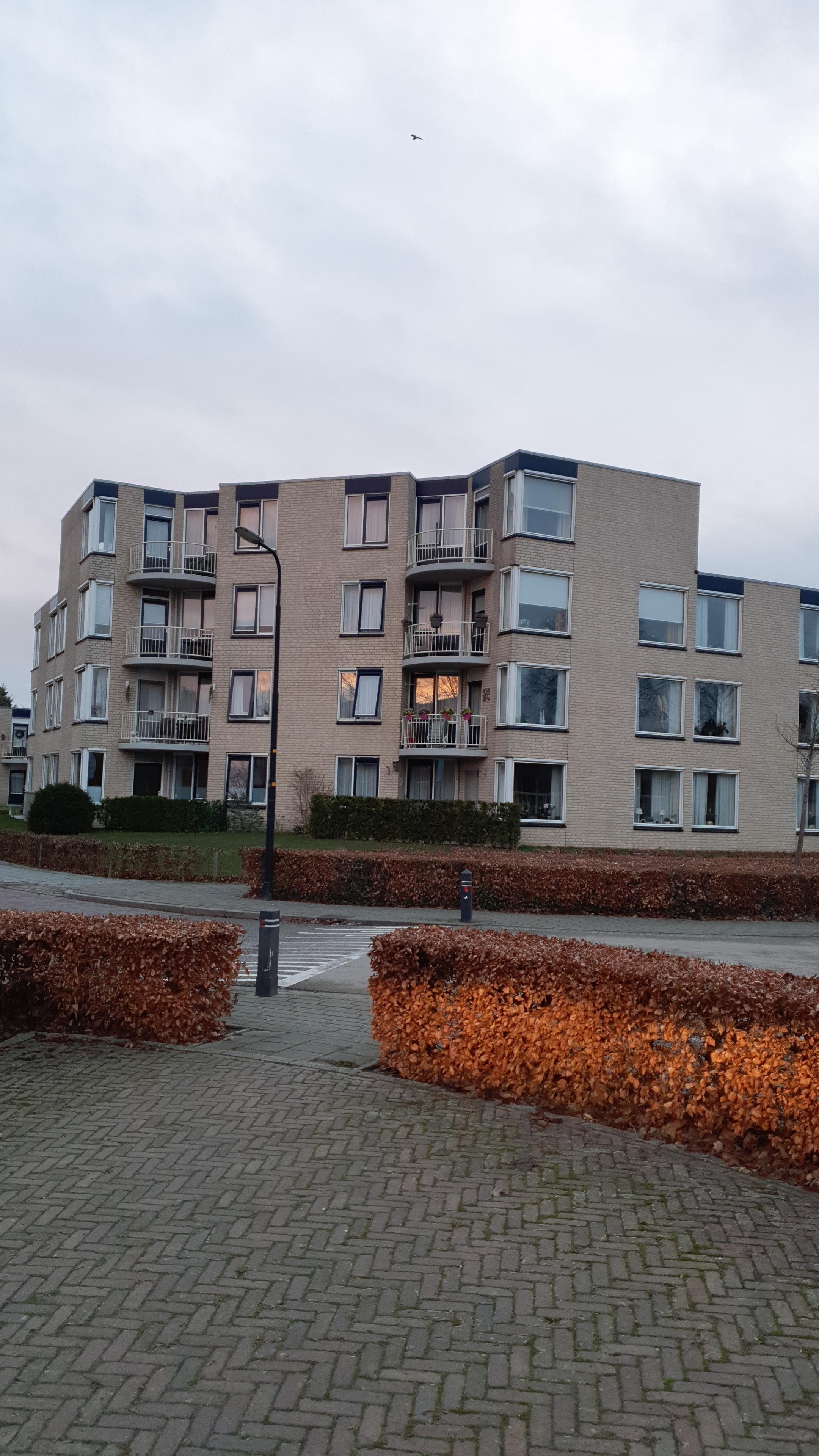 Van Doornickstraat 53, 6681 AM Bemmel, Nederland