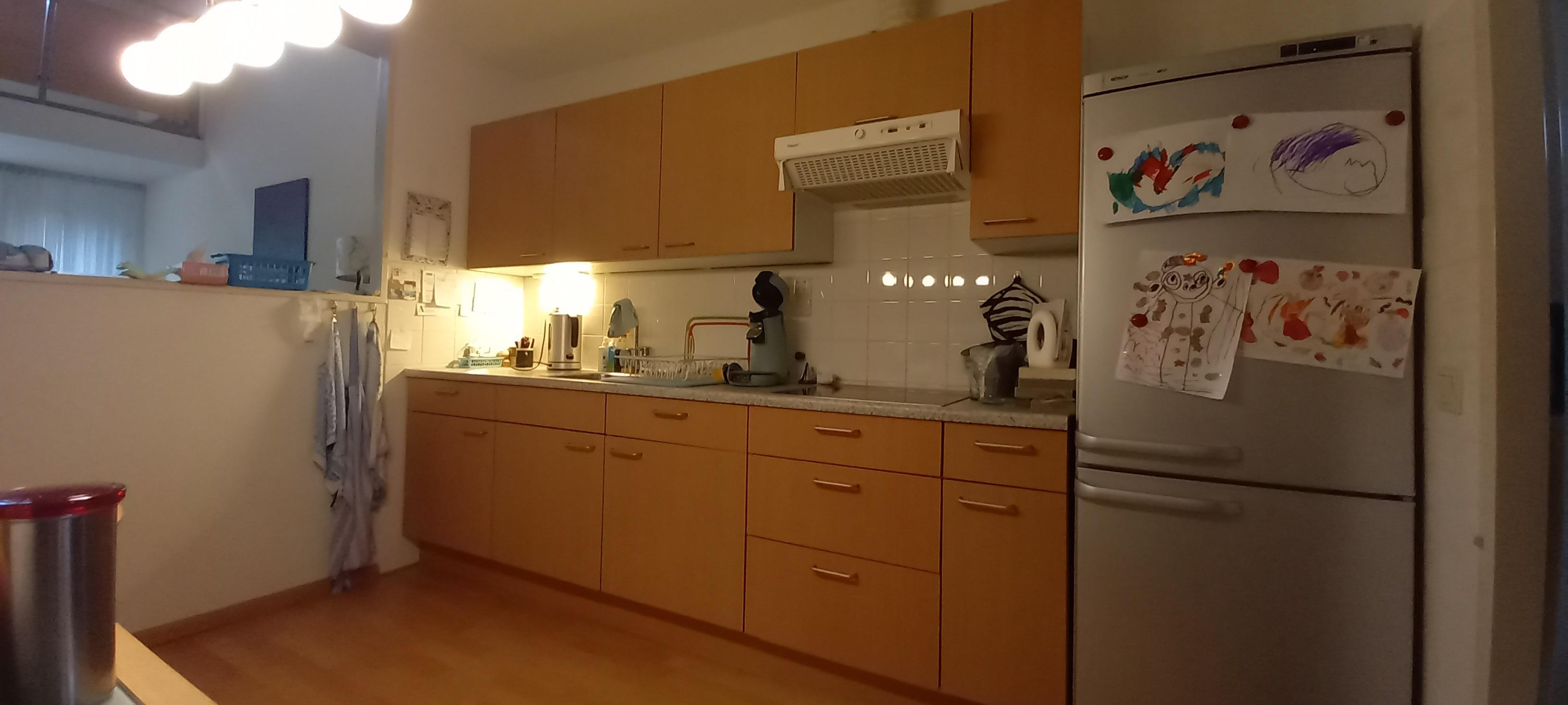 Van 't Sant-straat 243