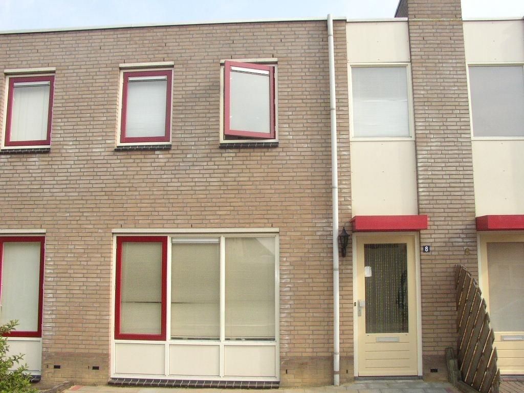 De Windroos 8