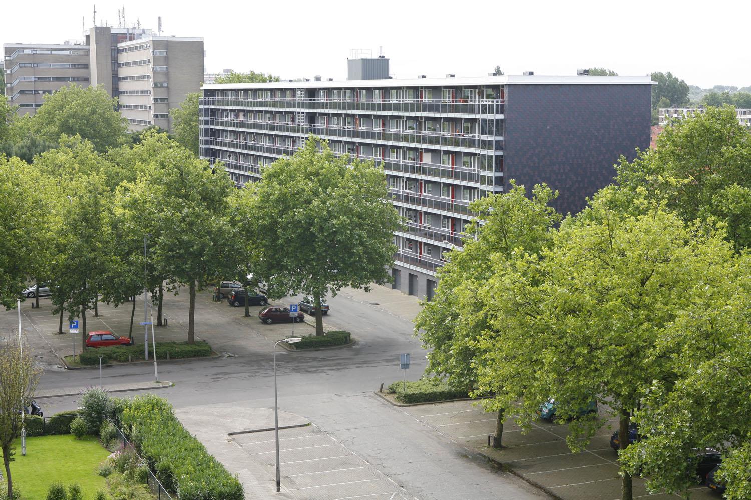 Werenfriedplein 71