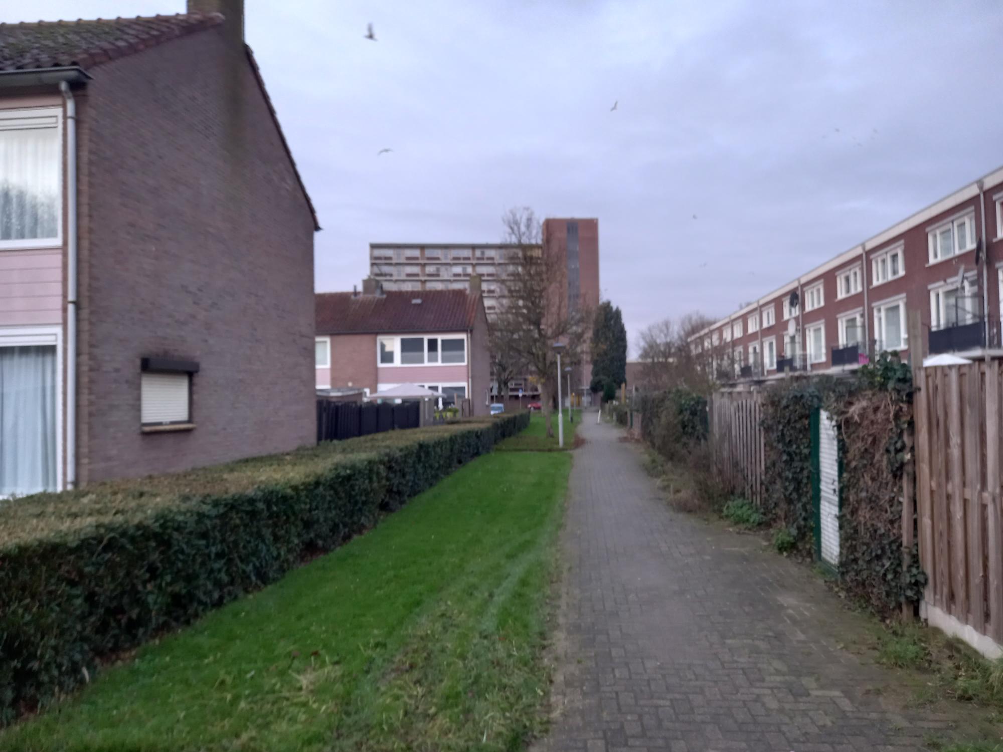 Van der Goesstraat 35