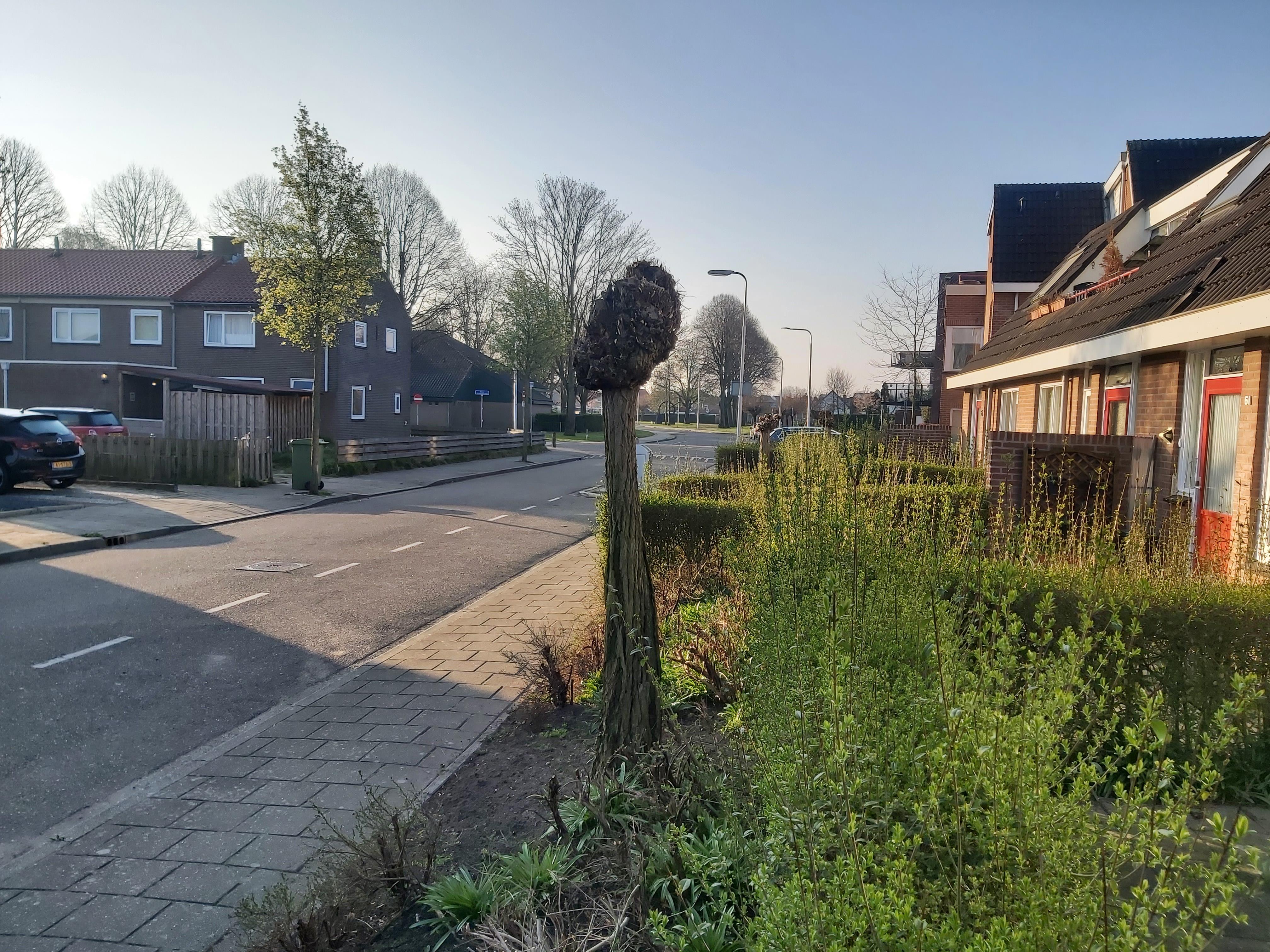 Koningin Wilhelminastraat 59