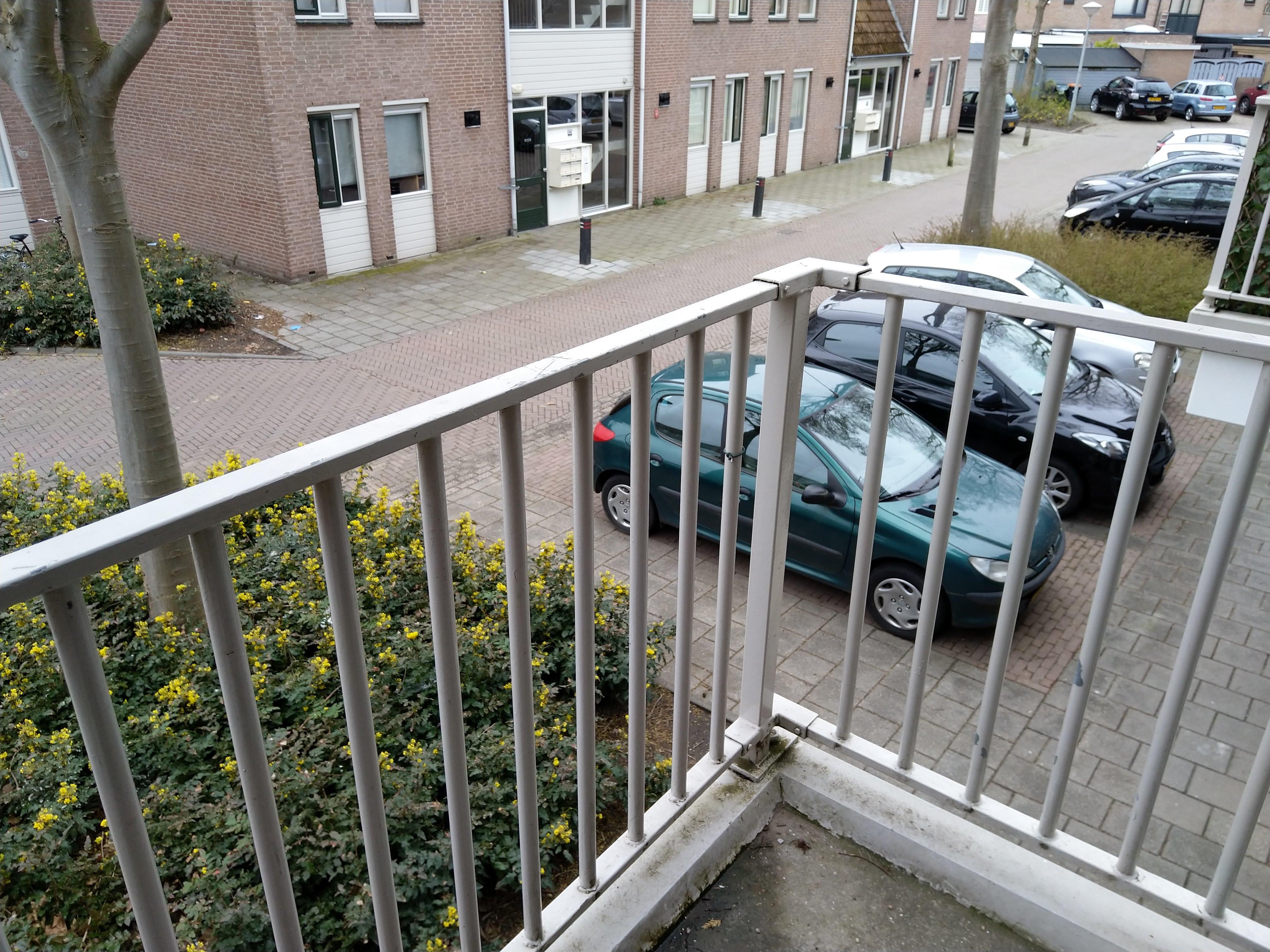 Kruisboog 35