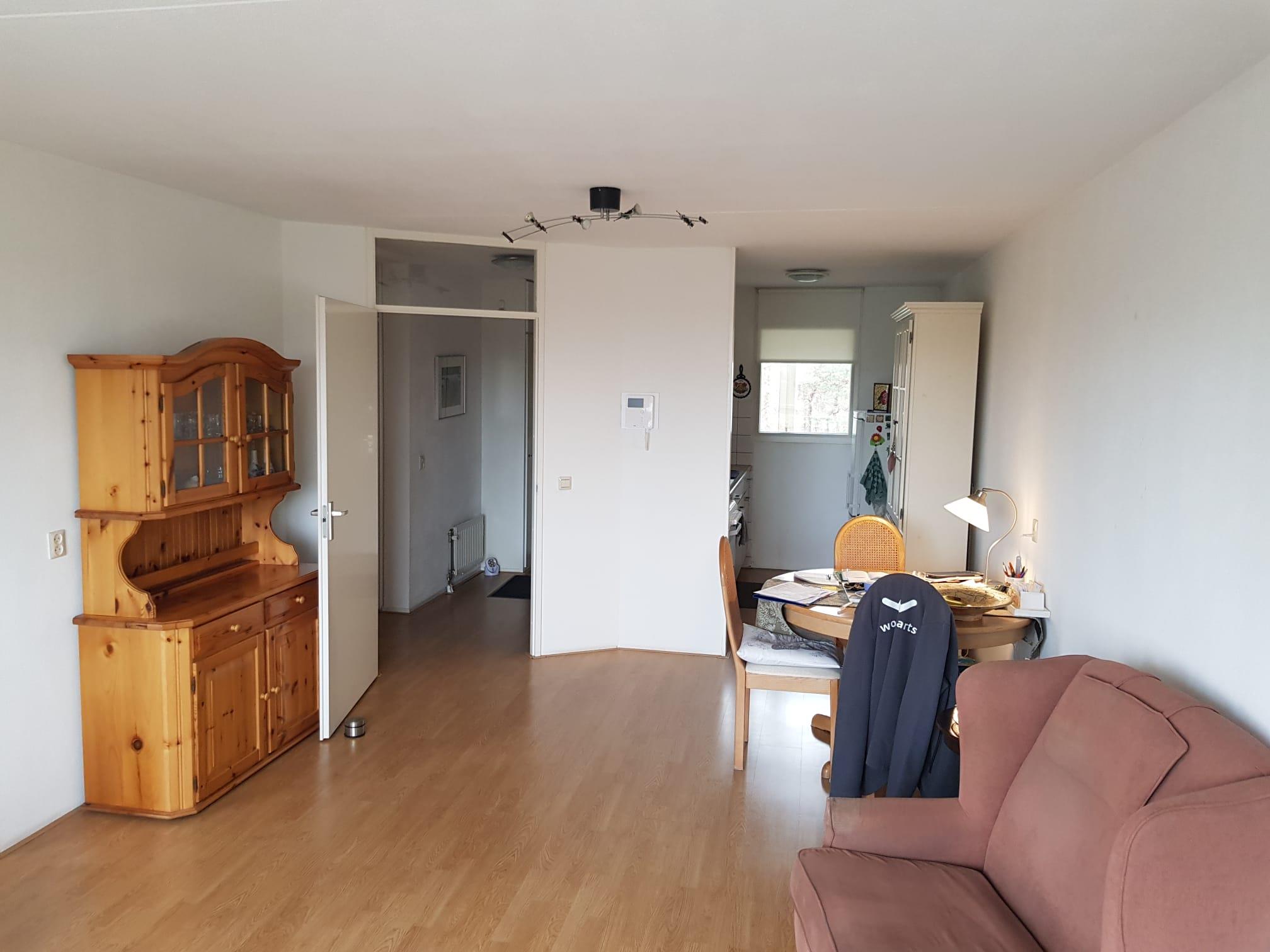 Van Het Hoffplantsoen 91