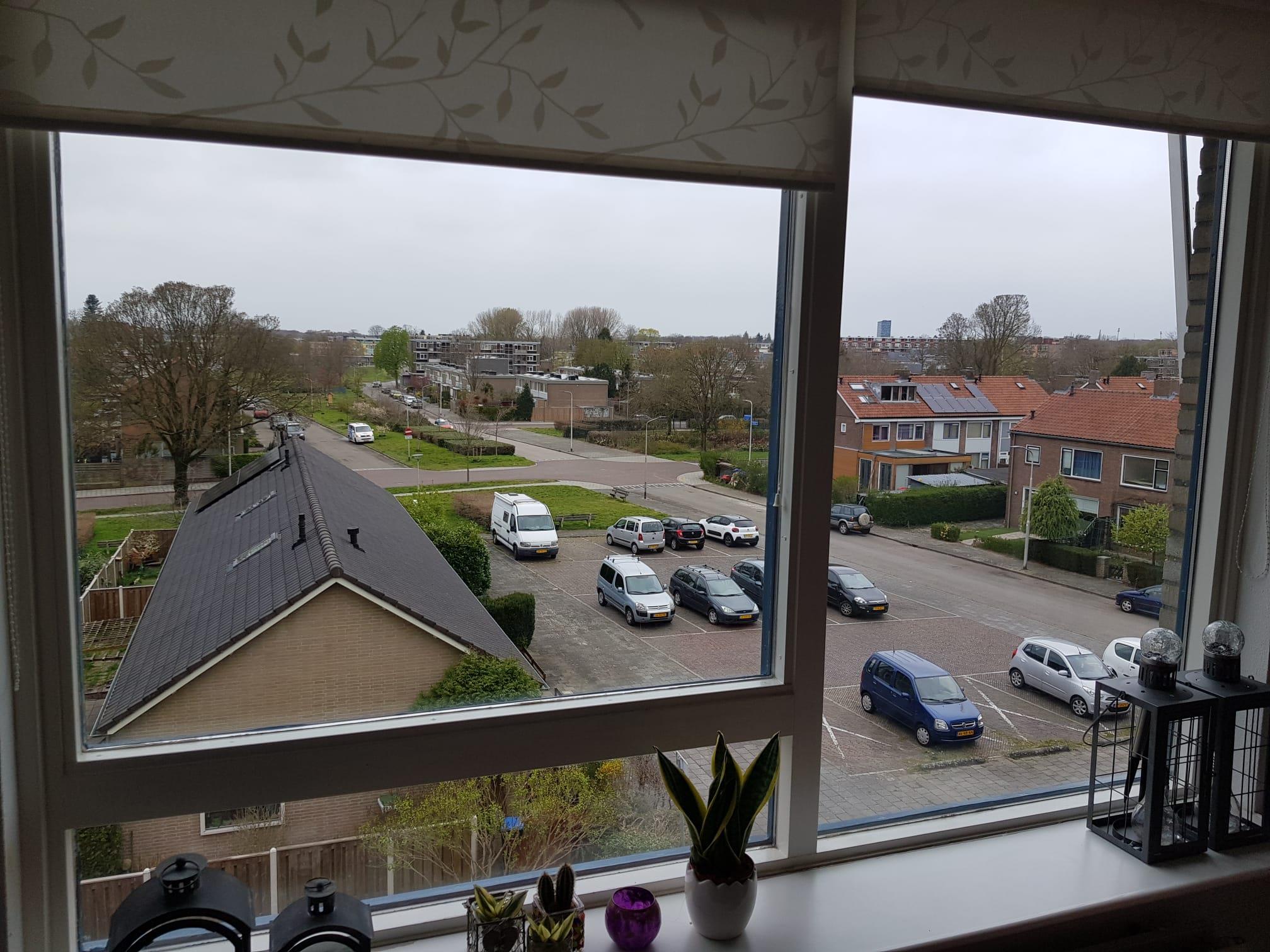 Van Het Hoffplantsoen 91